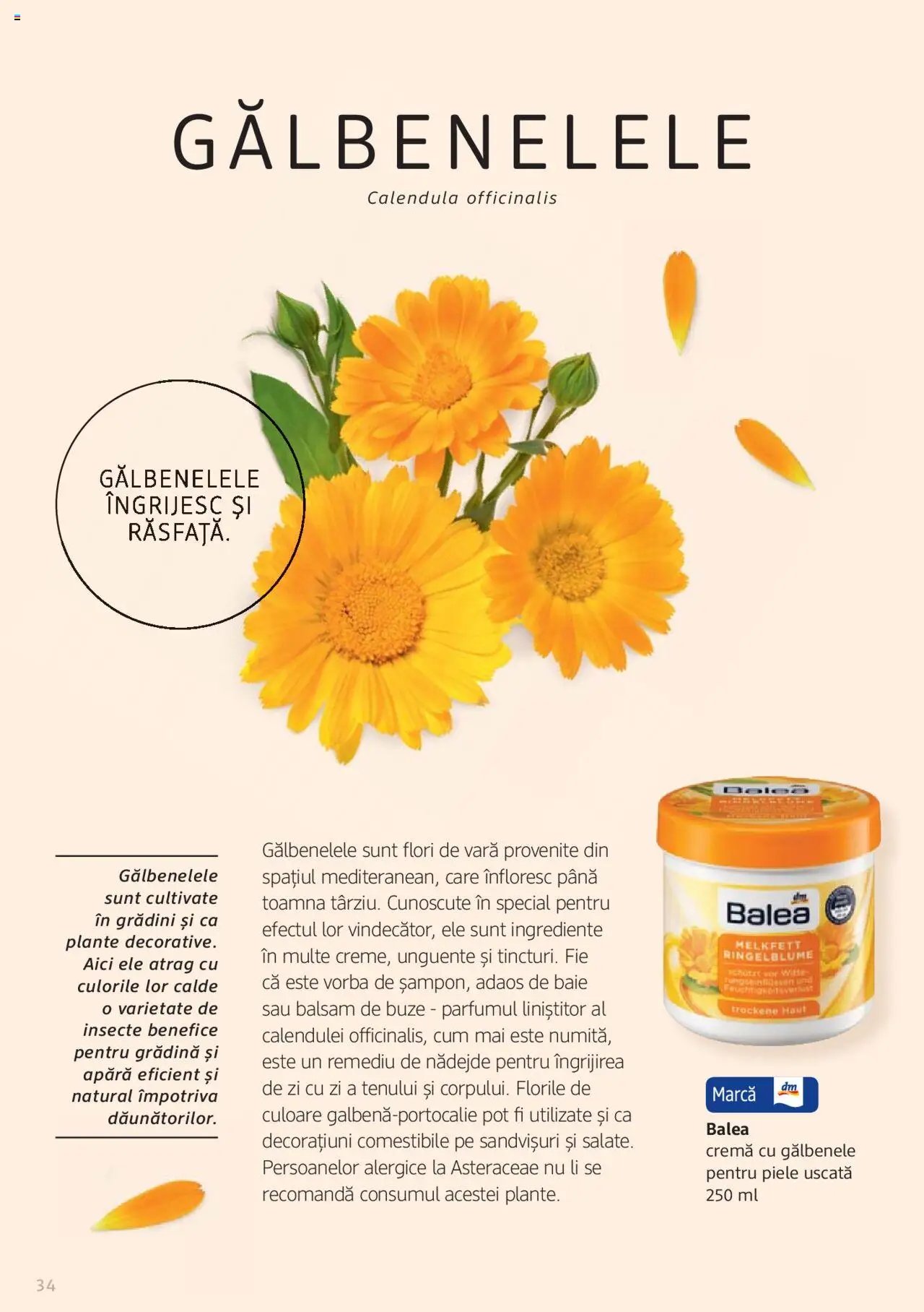 DM drogeriemarkt catalog - Broșura despre plante și ierburi
