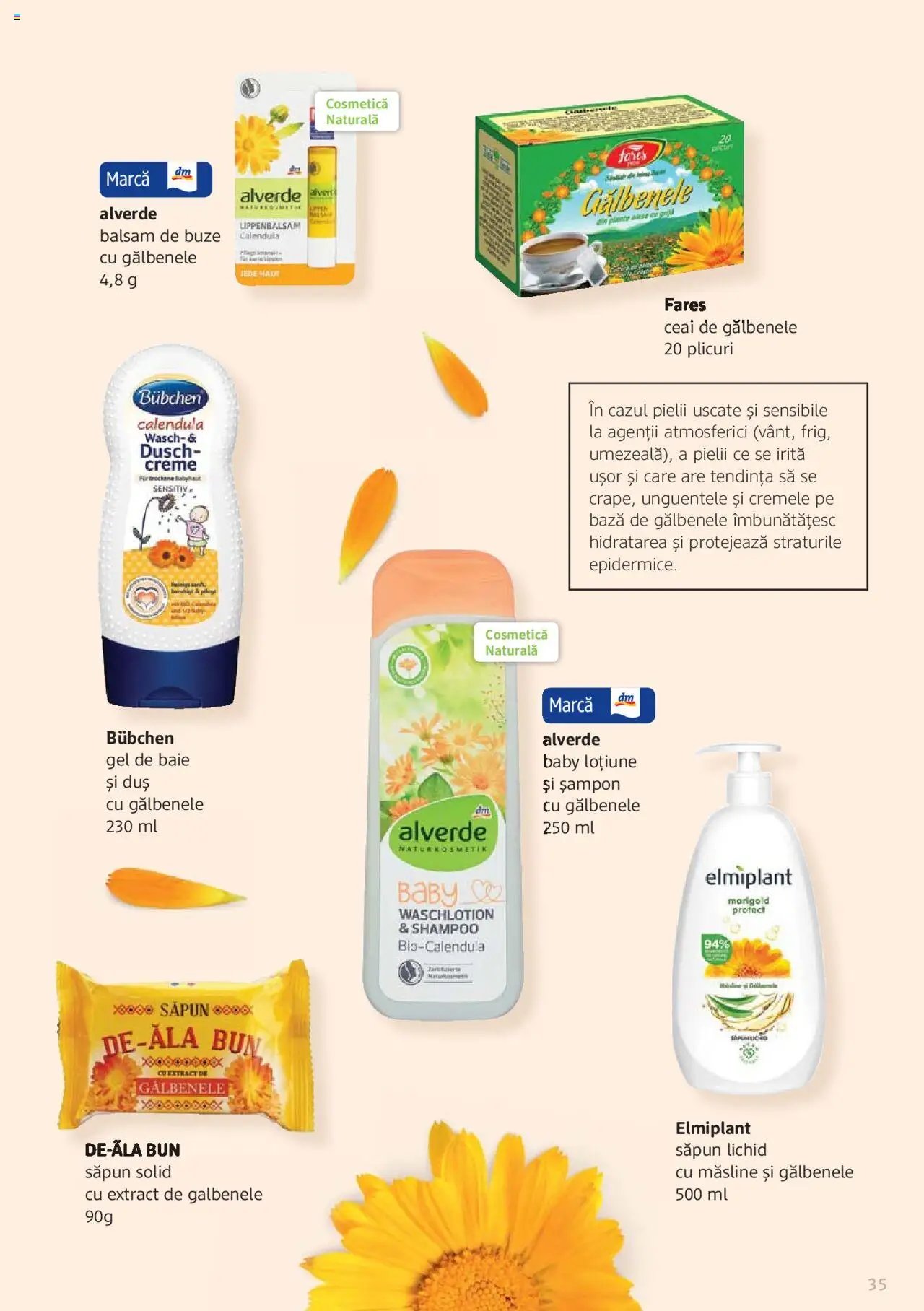 DM drogeriemarkt catalog - Broșura despre plante și ierburi