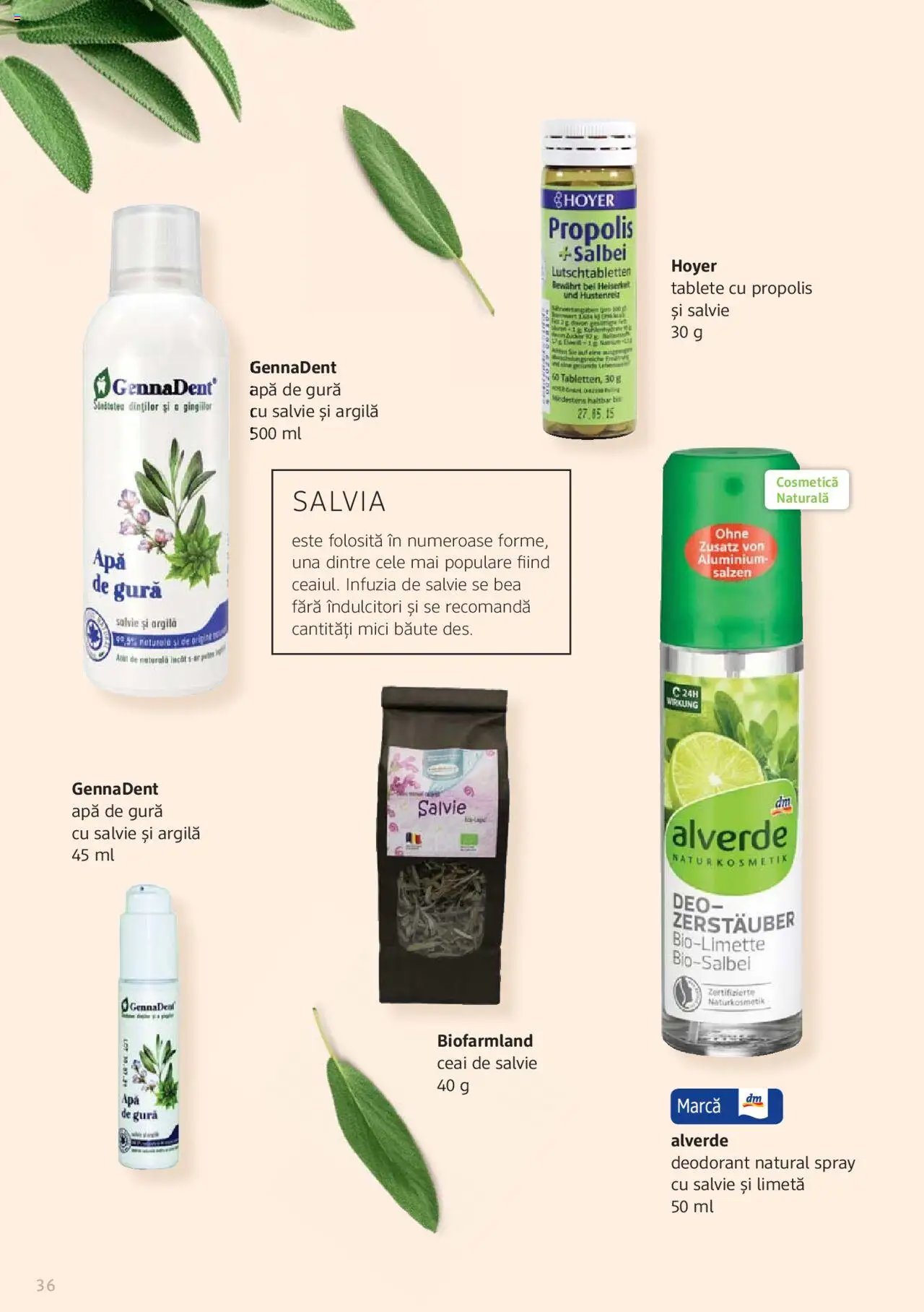 DM drogeriemarkt catalog - Broșura despre plante și ierburi