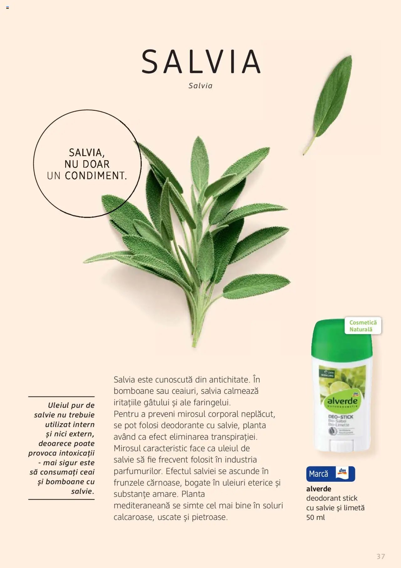 DM drogeriemarkt catalog - Broșura despre plante și ierburi