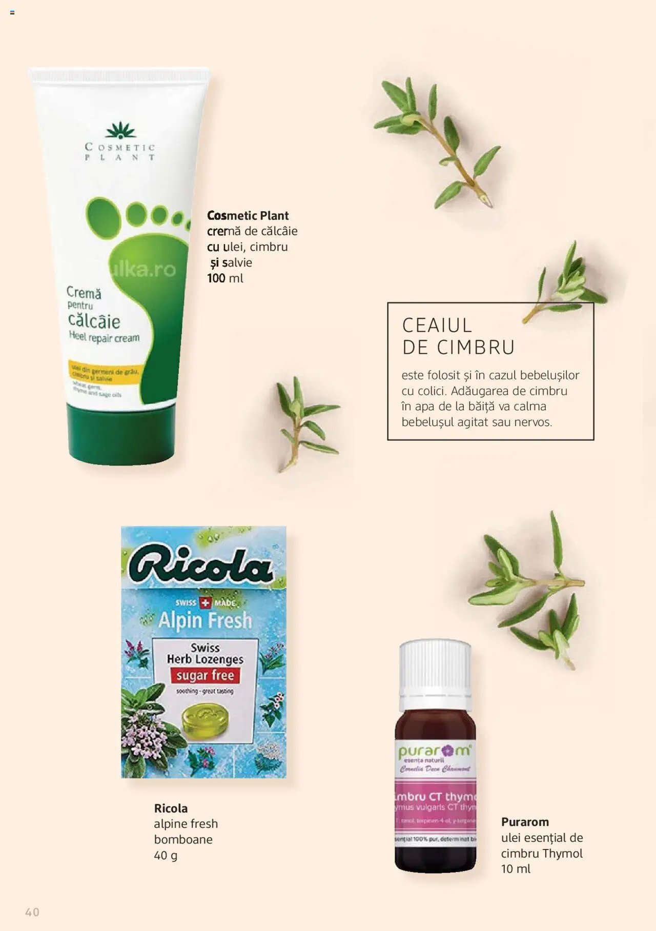 DM drogeriemarkt catalog - Broșura despre plante și ierburi