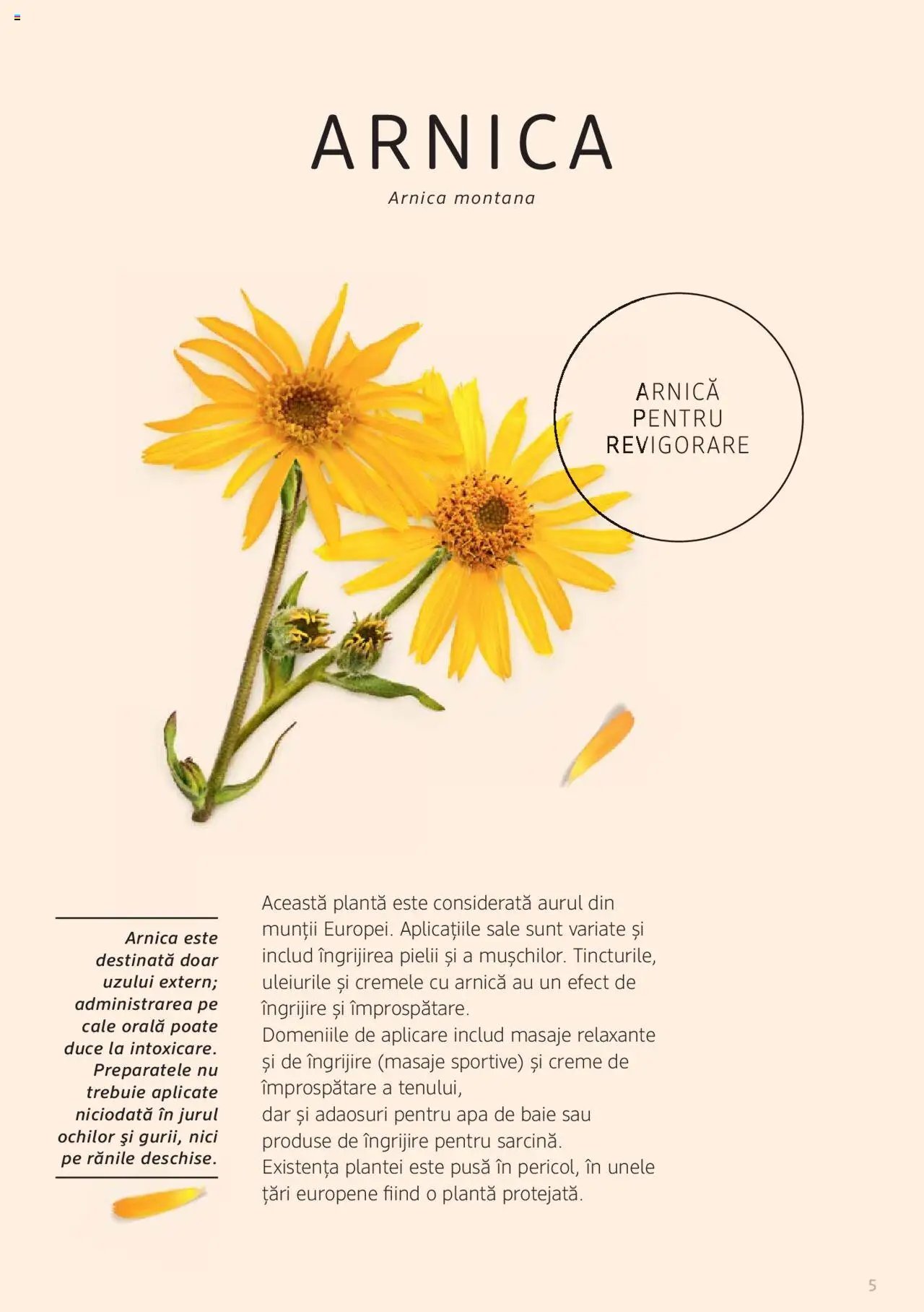 DM drogeriemarkt catalog - Broșura despre plante și ierburi