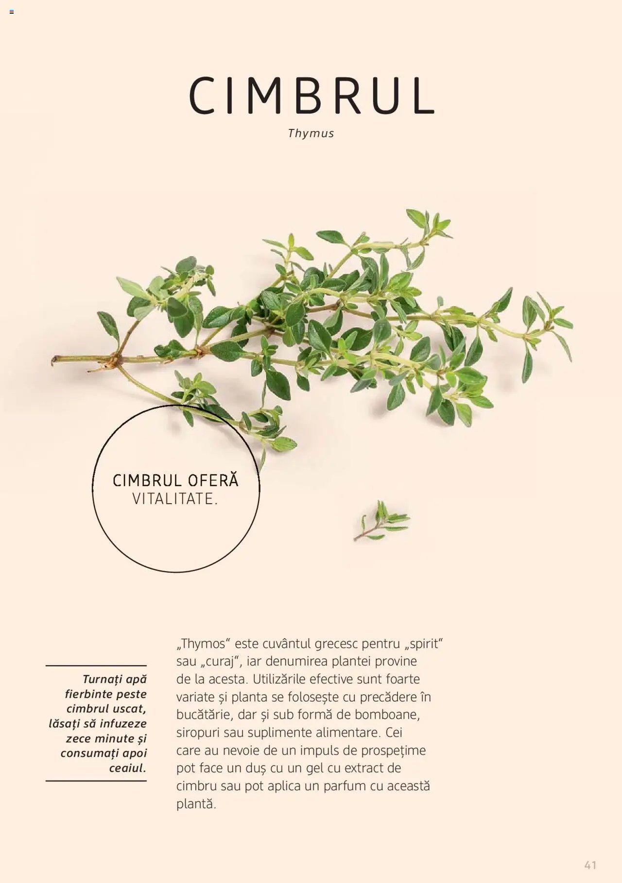 DM drogeriemarkt catalog - Broșura despre plante și ierburi