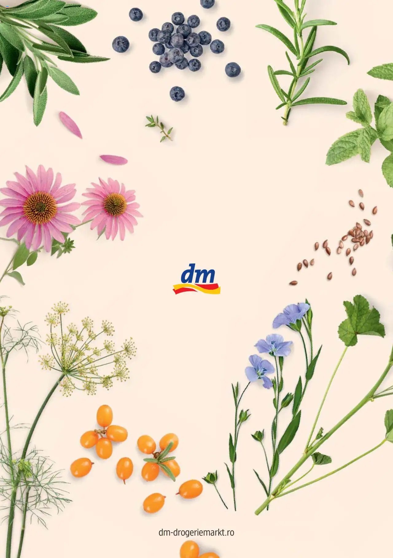 DM drogeriemarkt catalog - Broșura despre plante și ierburi