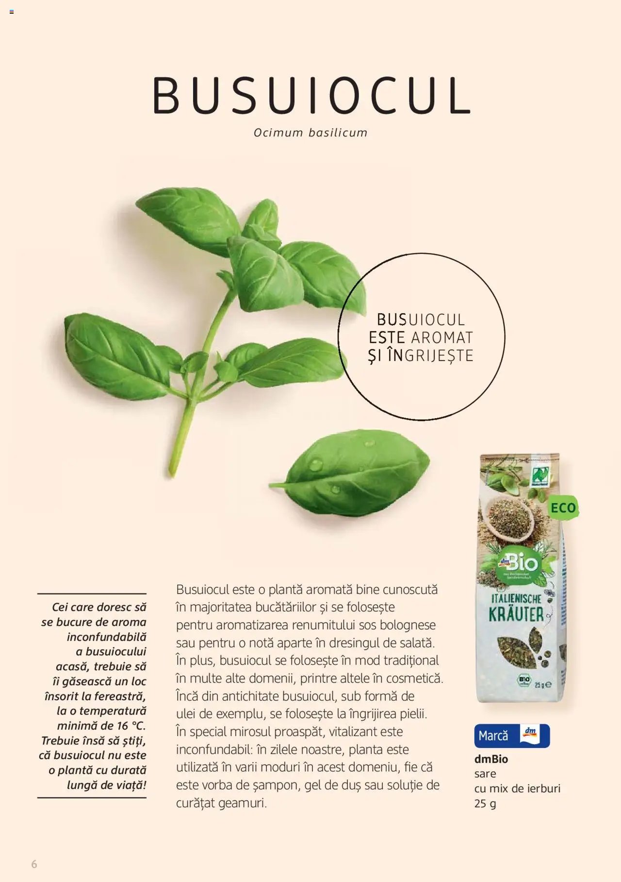 DM drogeriemarkt catalog - Broșura despre plante și ierburi