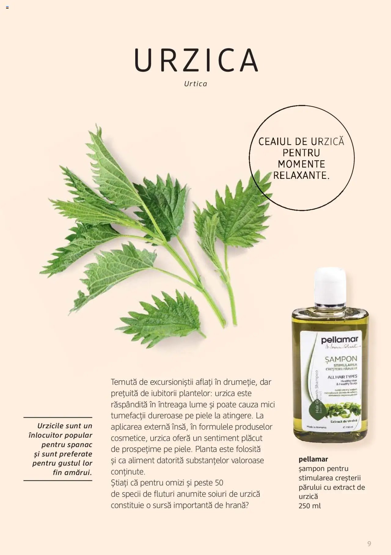 DM drogeriemarkt catalog - Broșura despre plante și ierburi