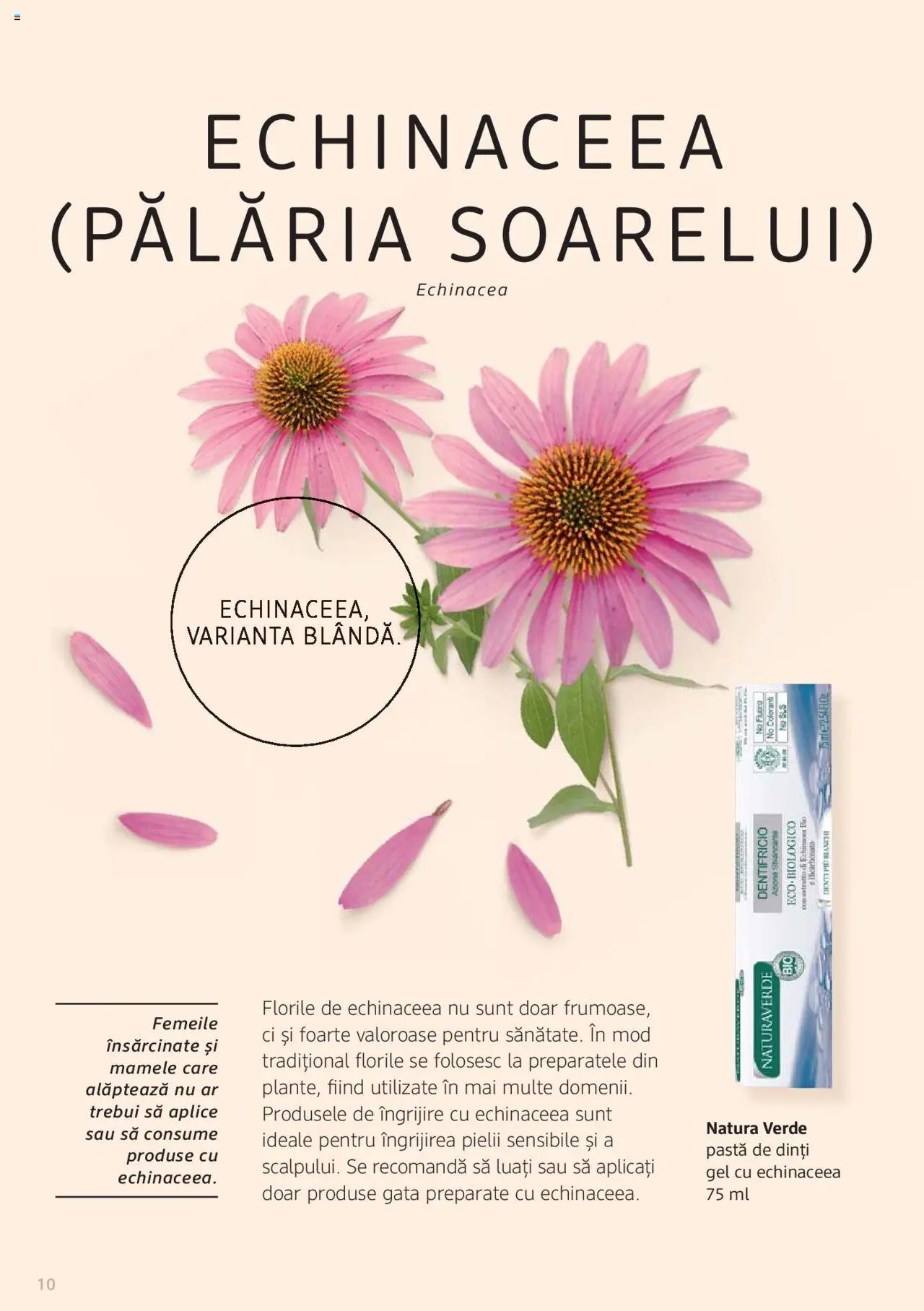 DM drogeriemarkt catalog - Broșura despre plante și ierburi