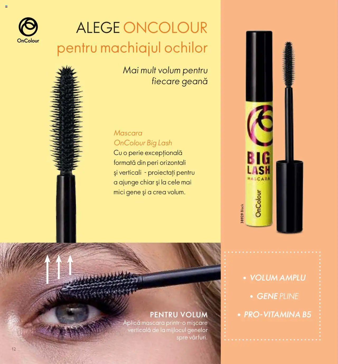 Oriflame catalog - Ghid Oncolour  