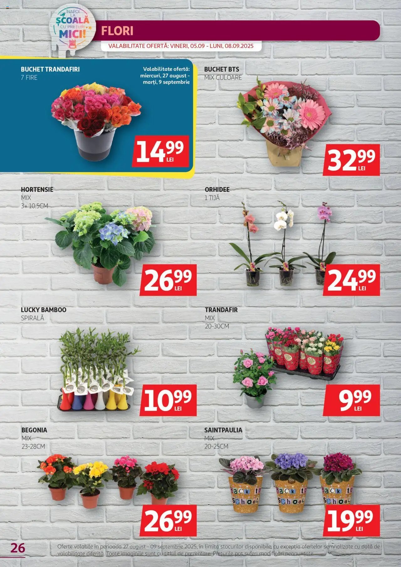 Catalog Auchan