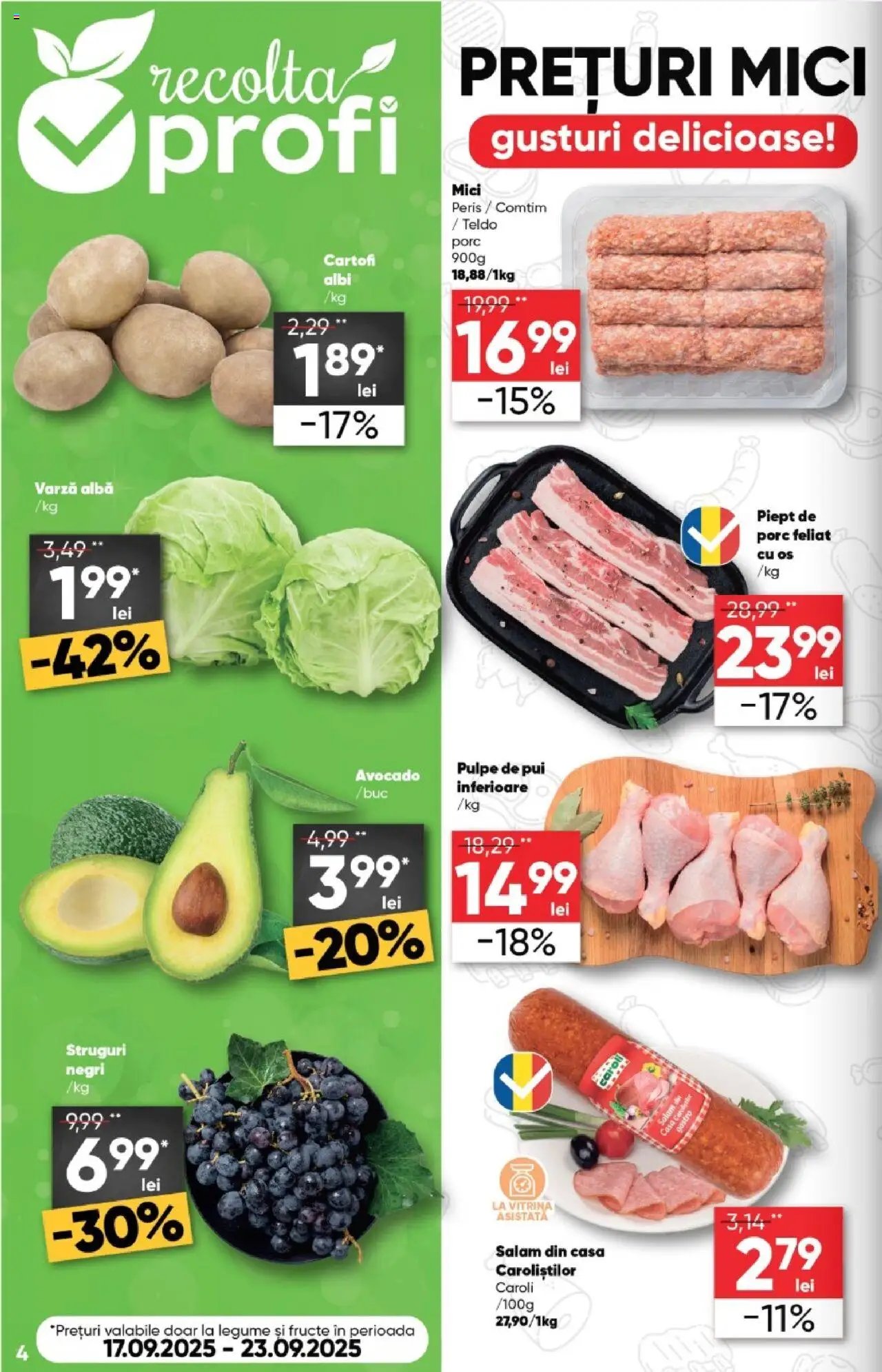 Catalog Profi Loco nou