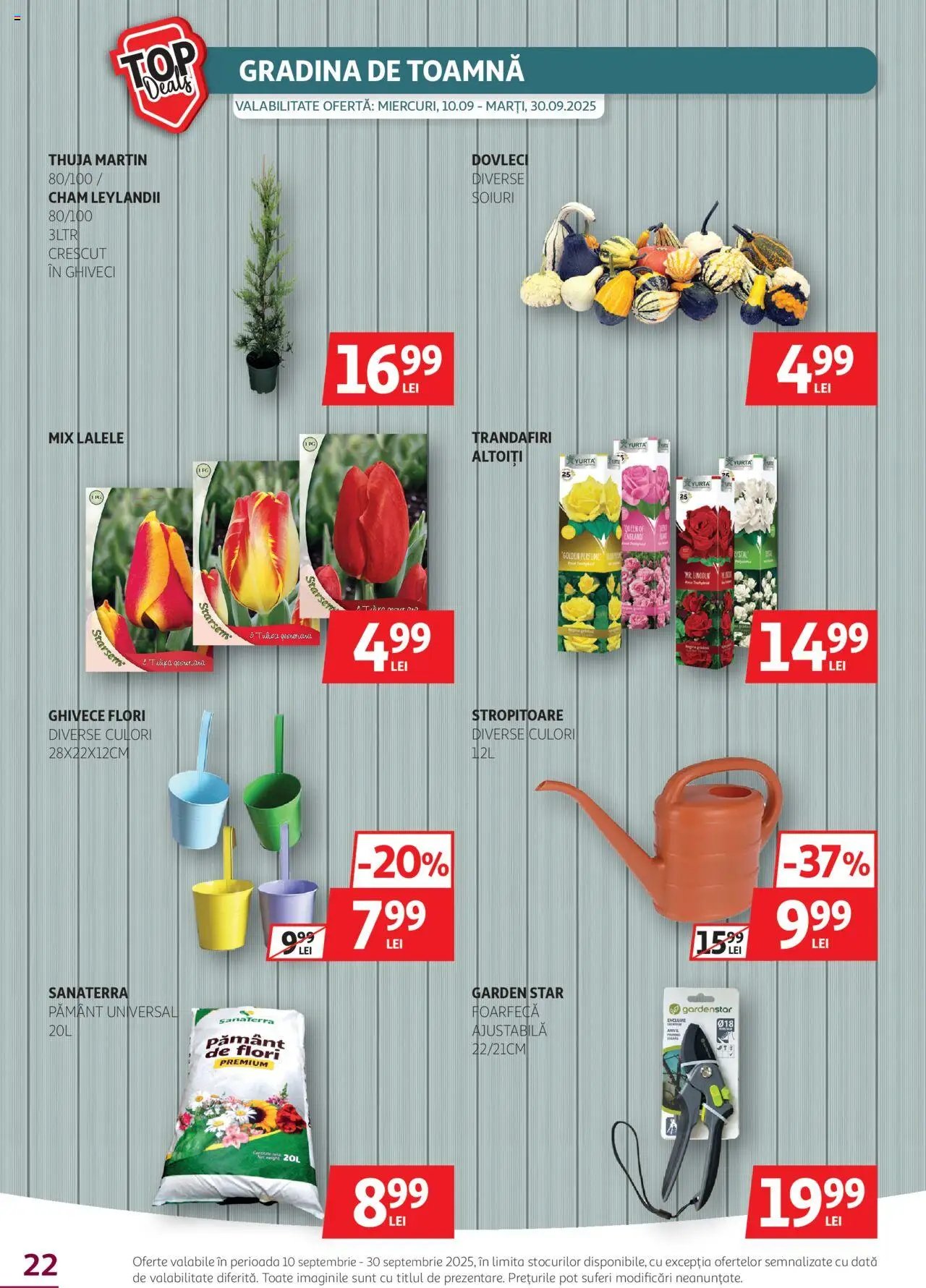Catalog Auchan