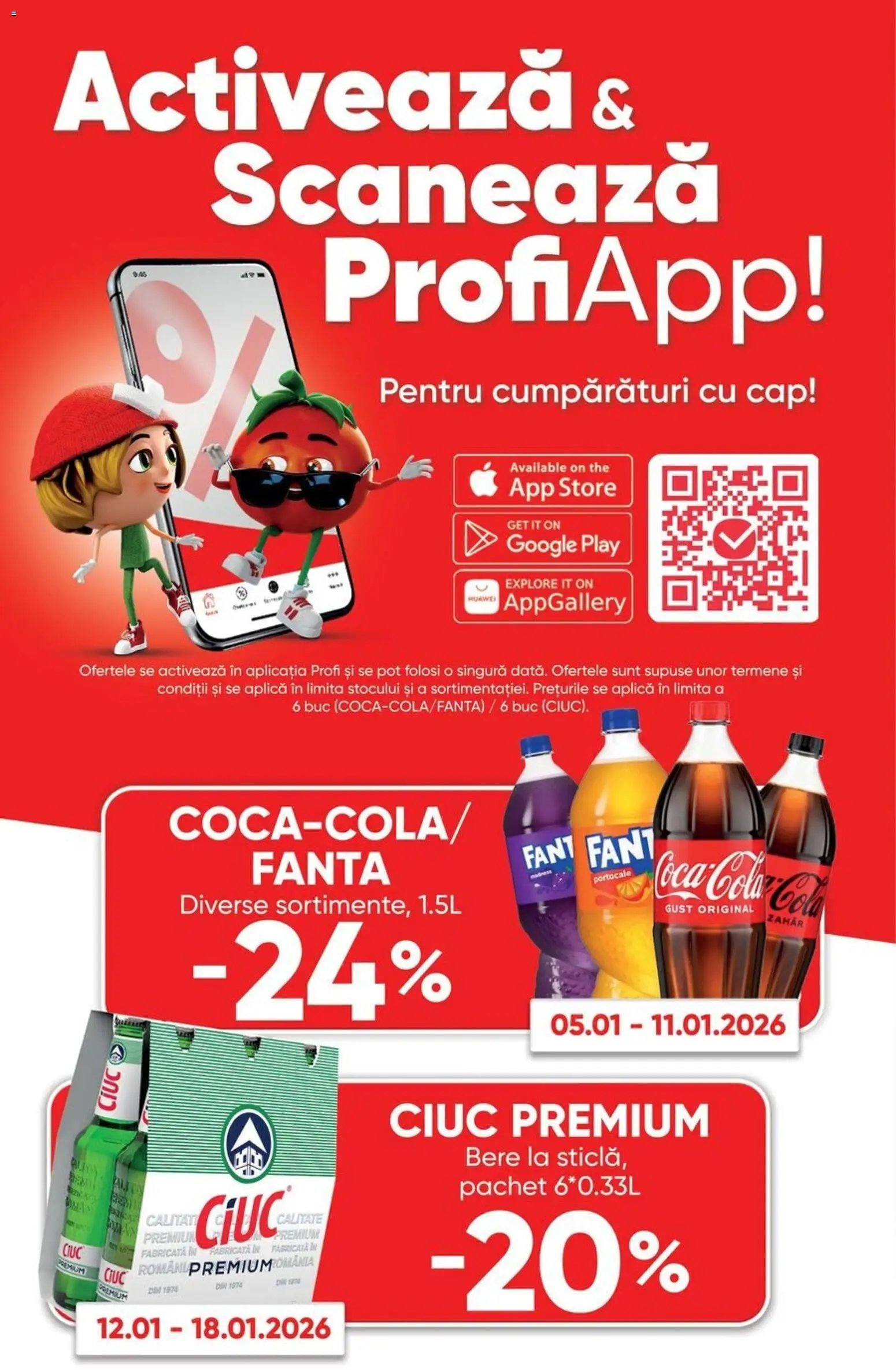 Catalog Profi City
