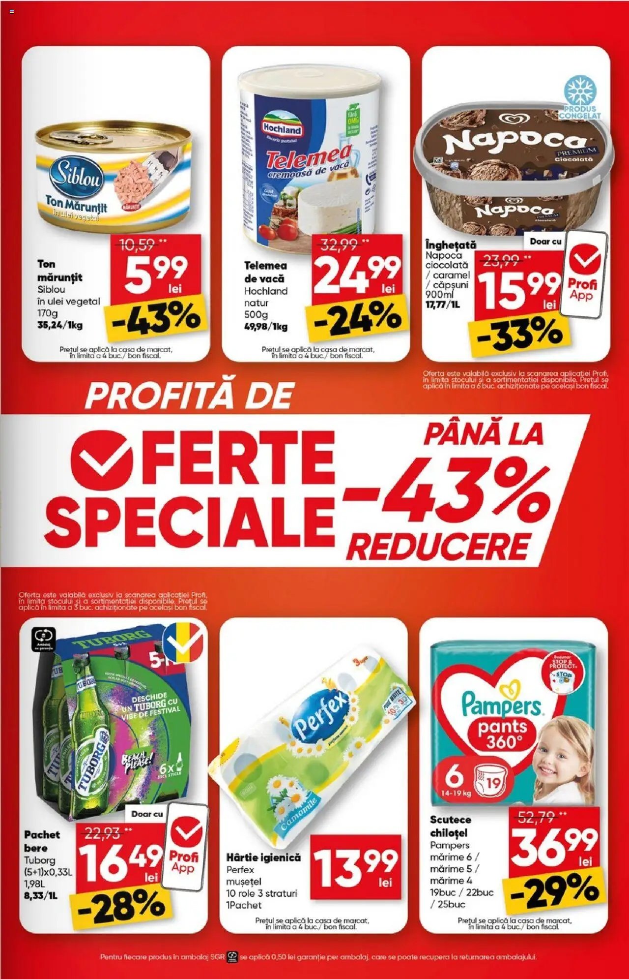 Catalog Profi City