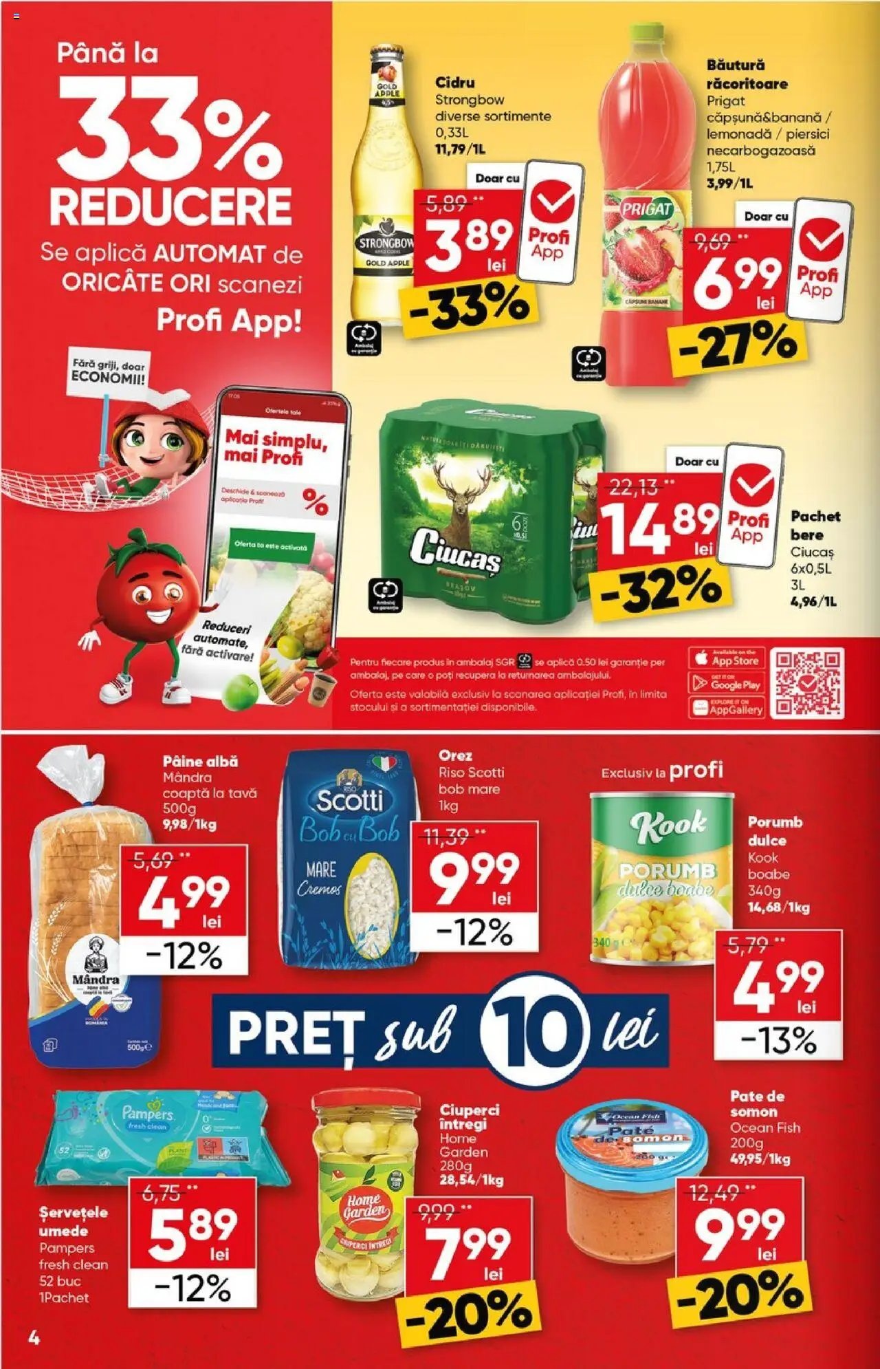Catalog Profi City
