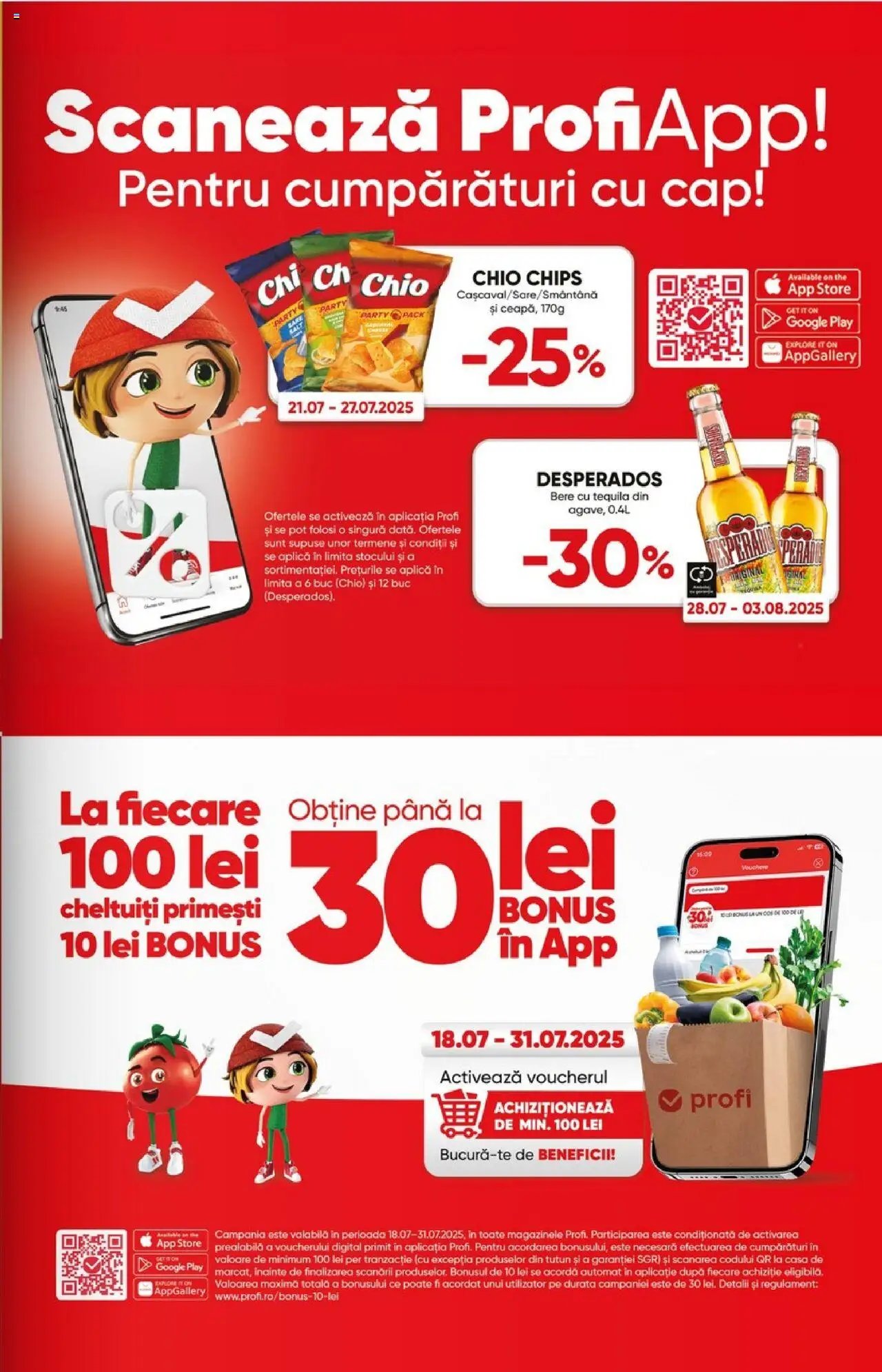 Catalog Profi City