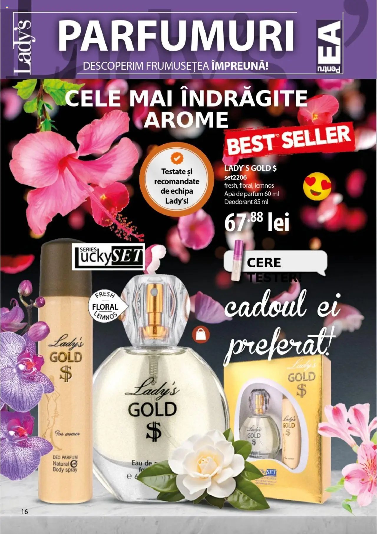 Catalog Lady’s