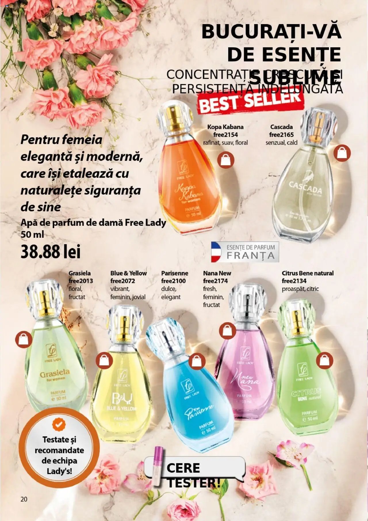 Catalog Lady’s