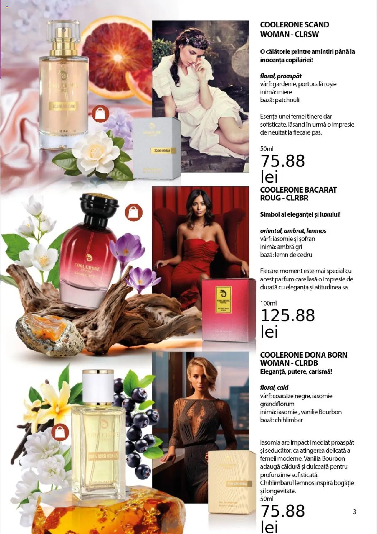 Catalog Lady’s