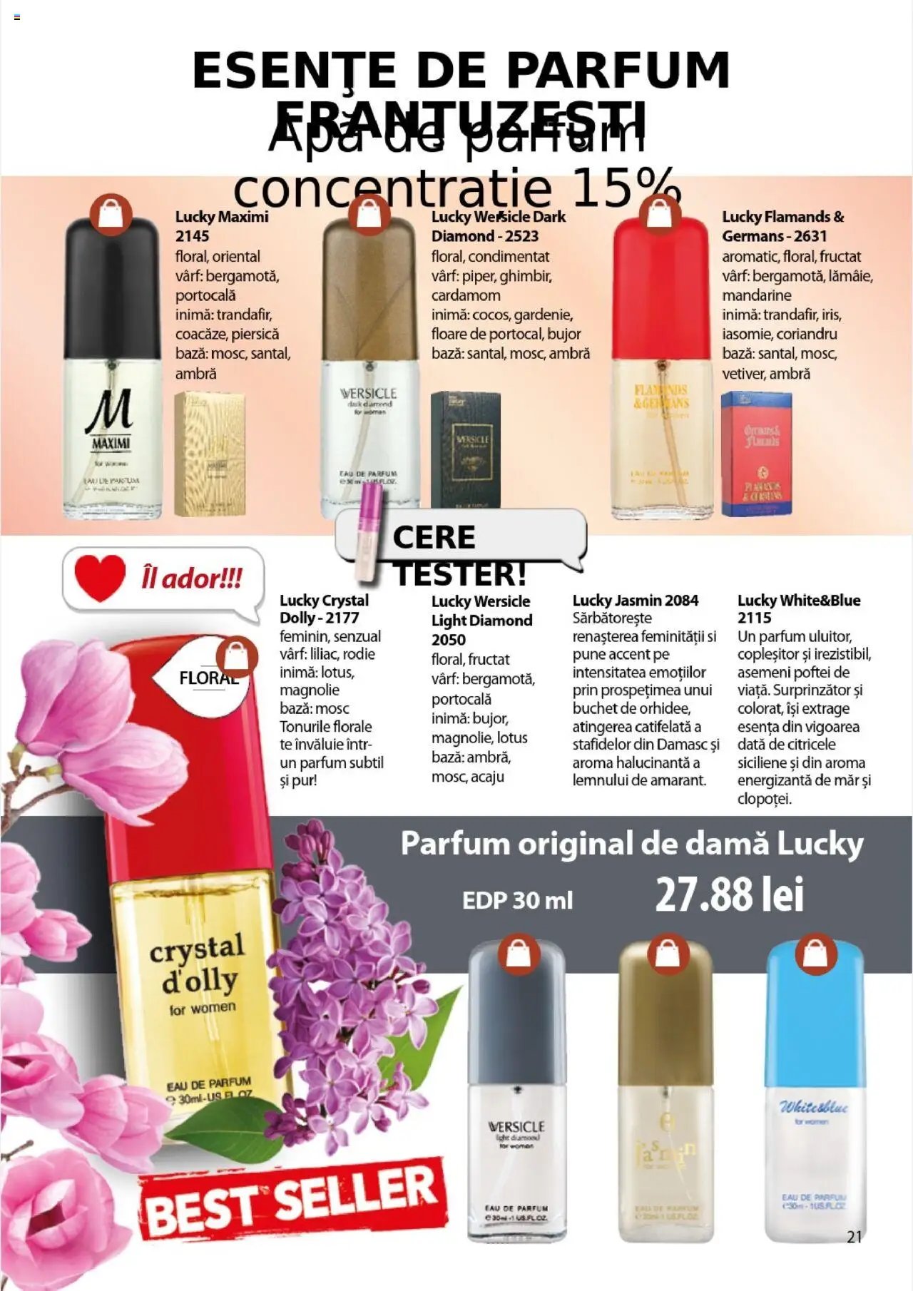 Catalog Lady’s