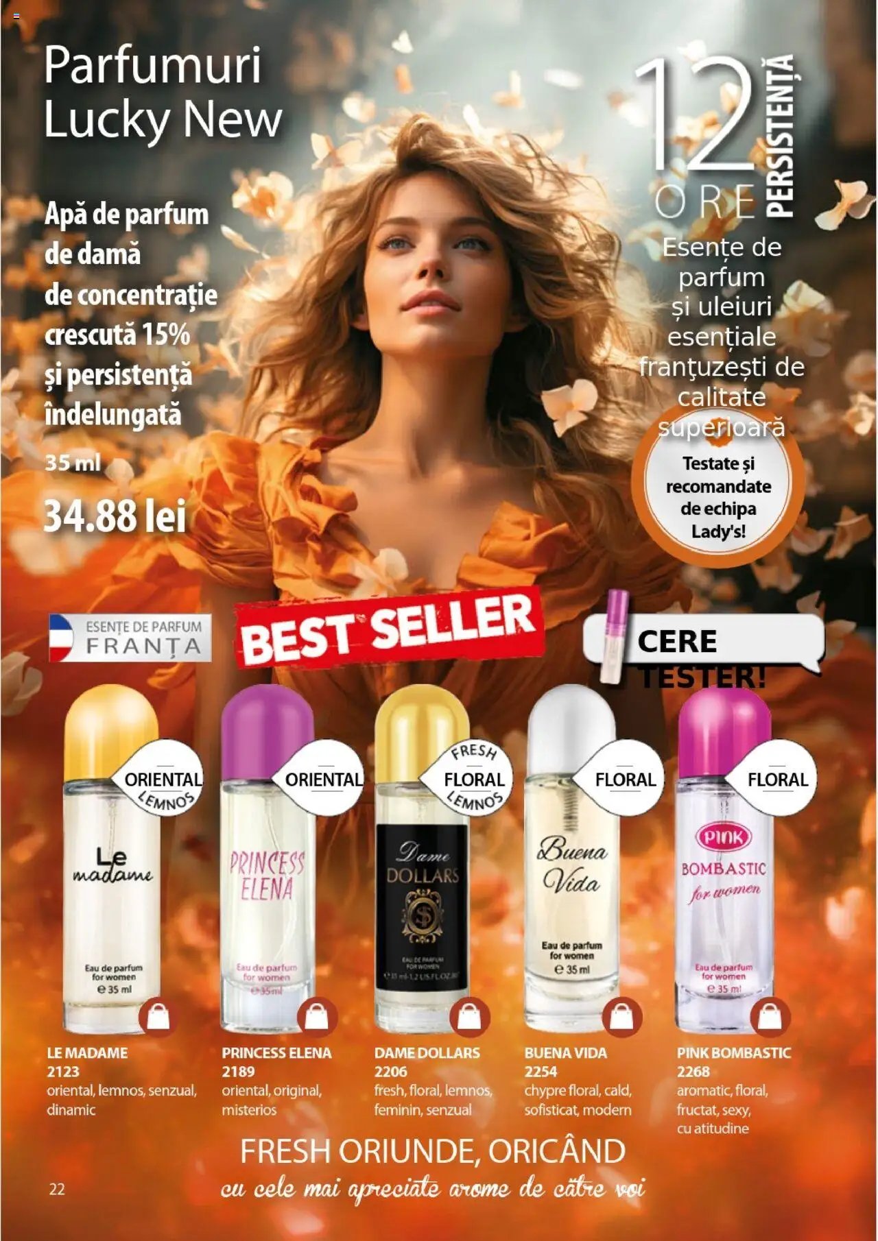 Catalog Lady’s