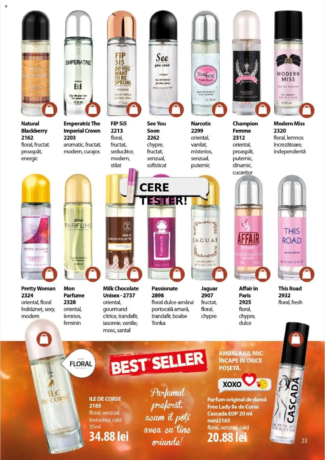 Catalog Lady’s
