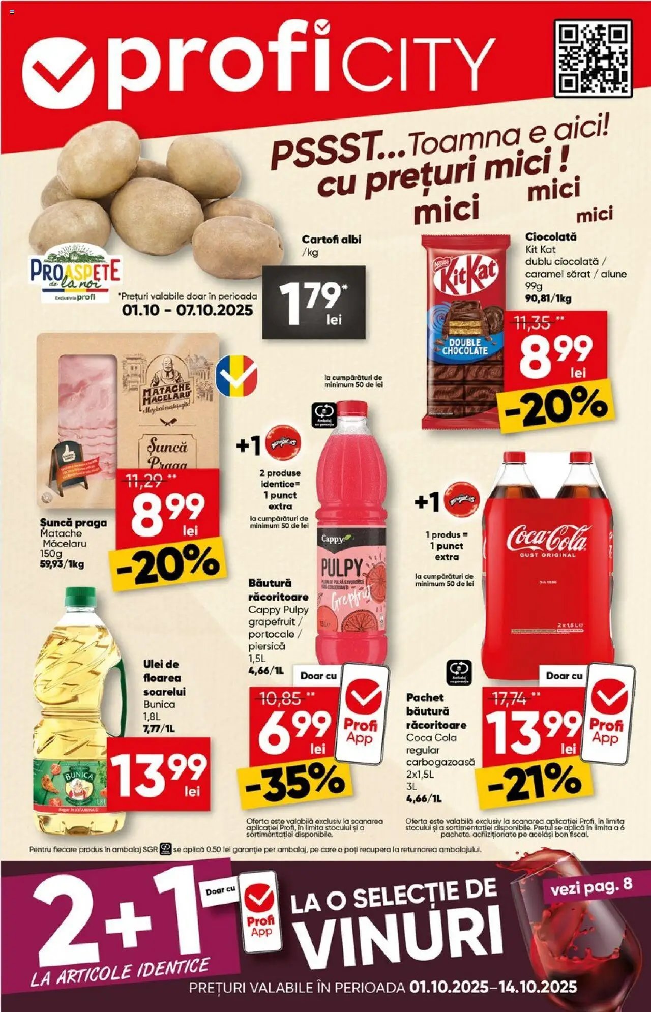 Catalog Profi City