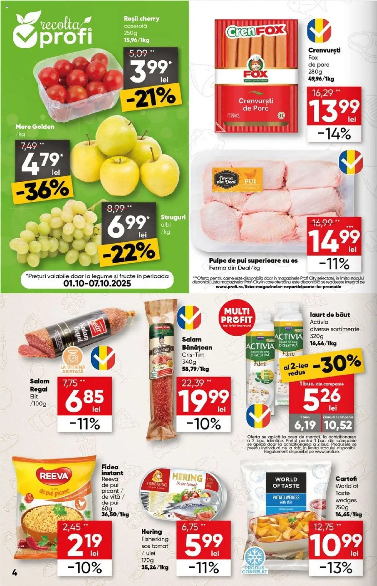 Catalog Profi City