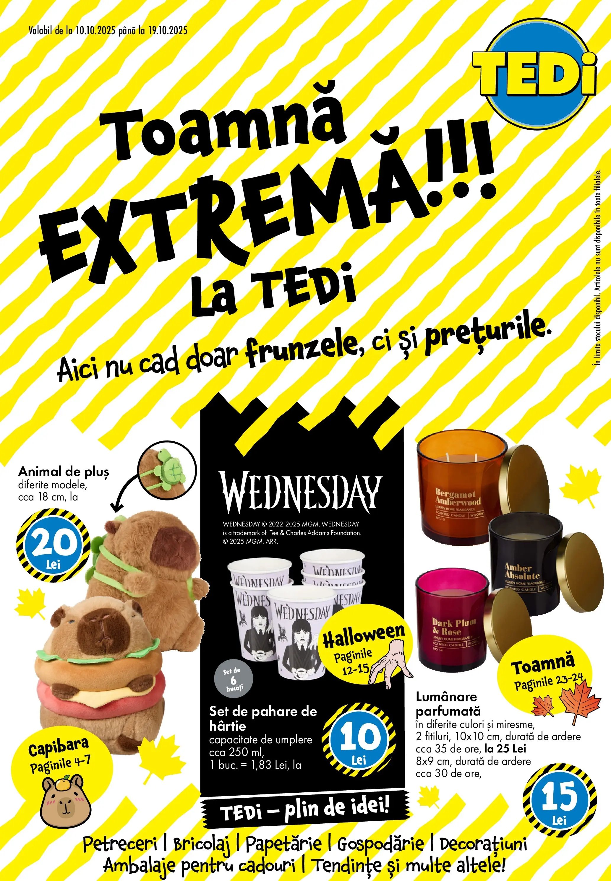 Catalog TEDi