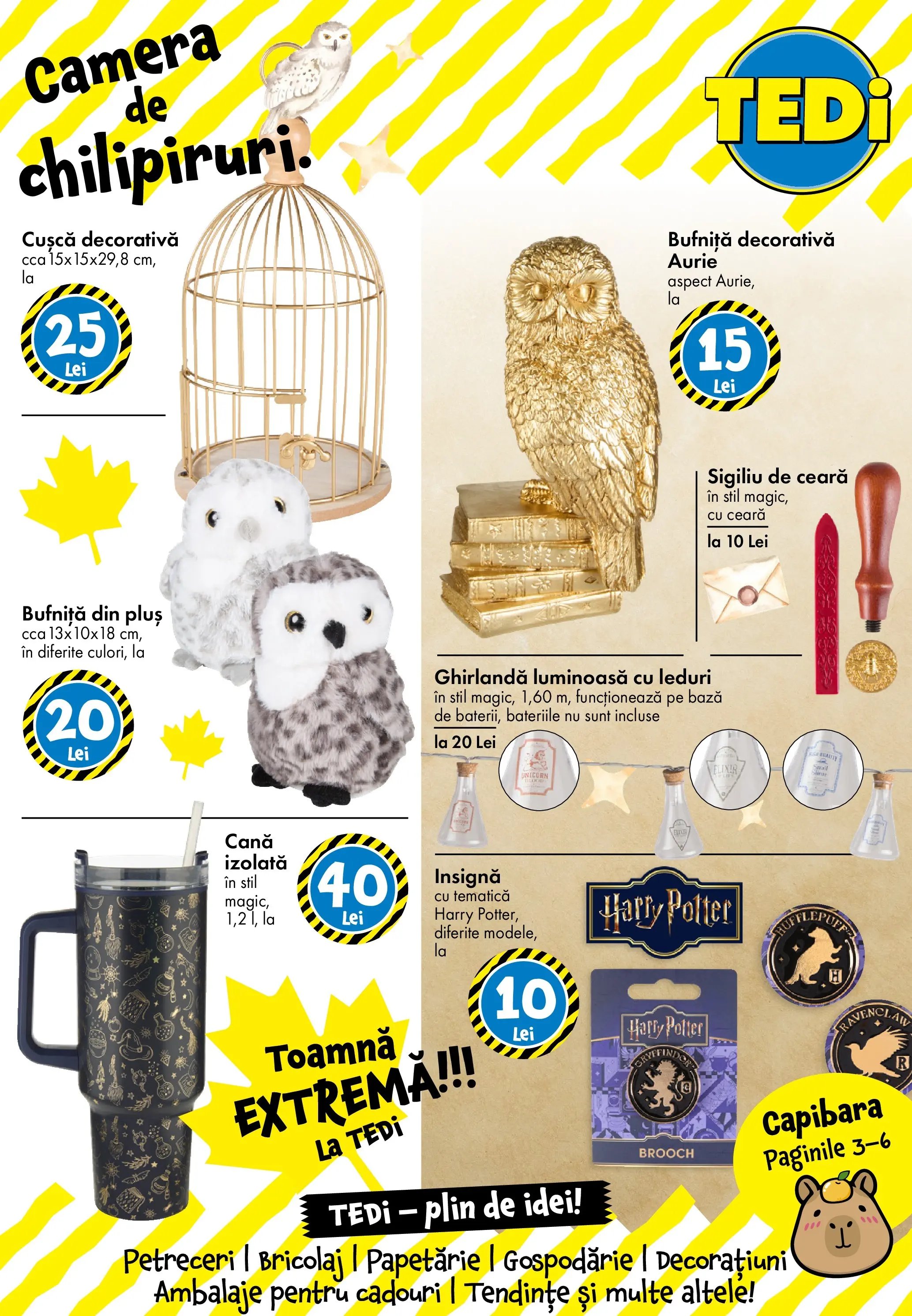 Catalog TEDi