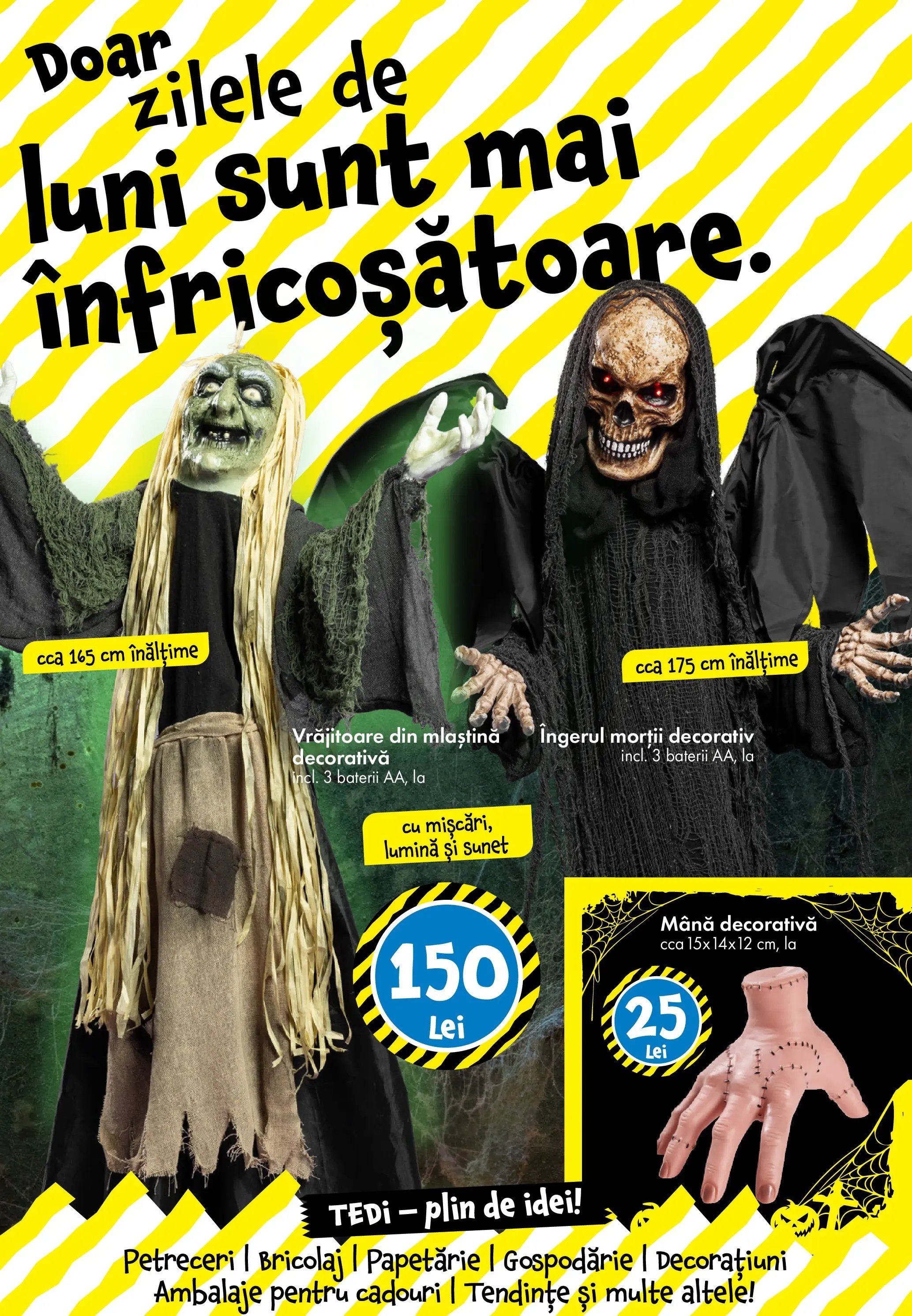 Catalog TEDi