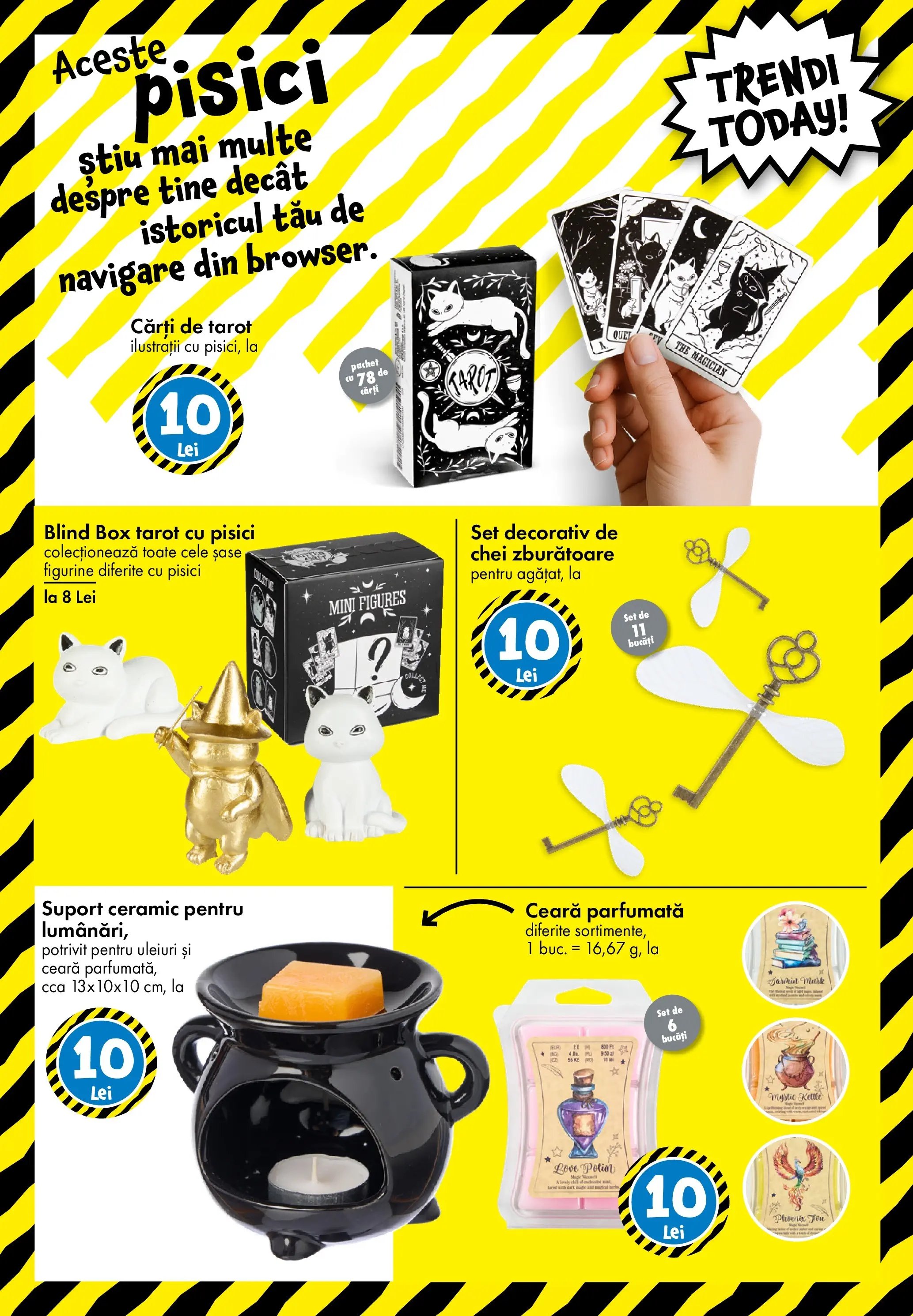 Catalog TEDi