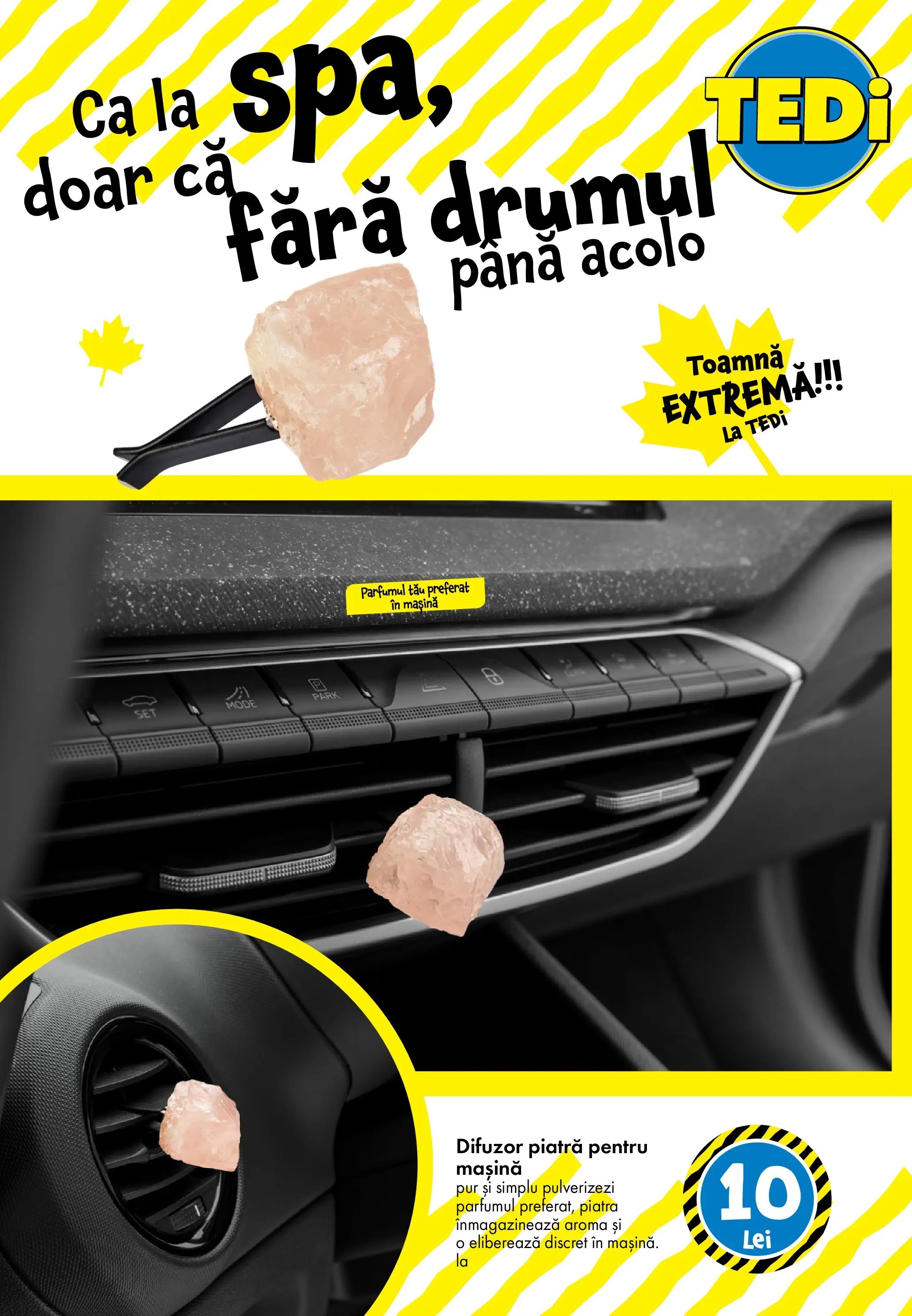 Catalog TEDi