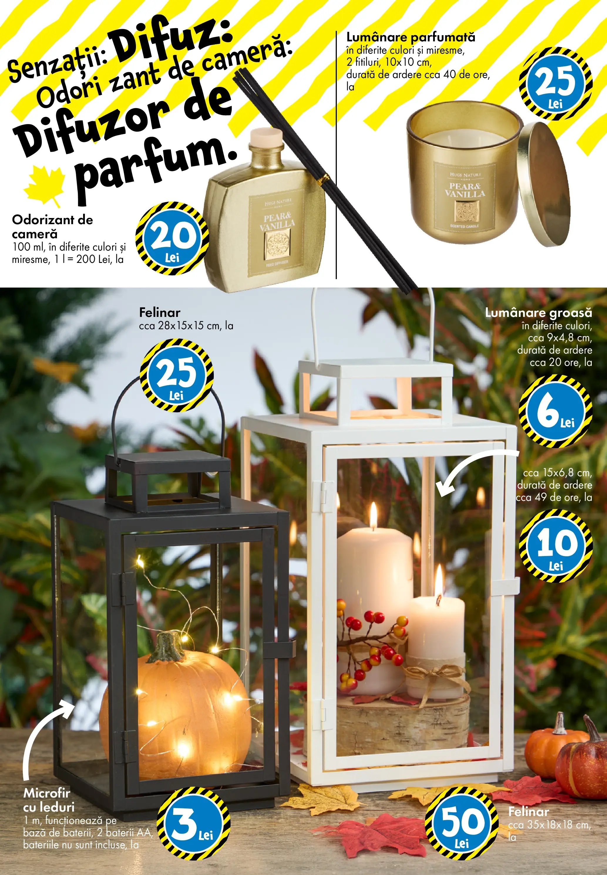 Catalog TEDi