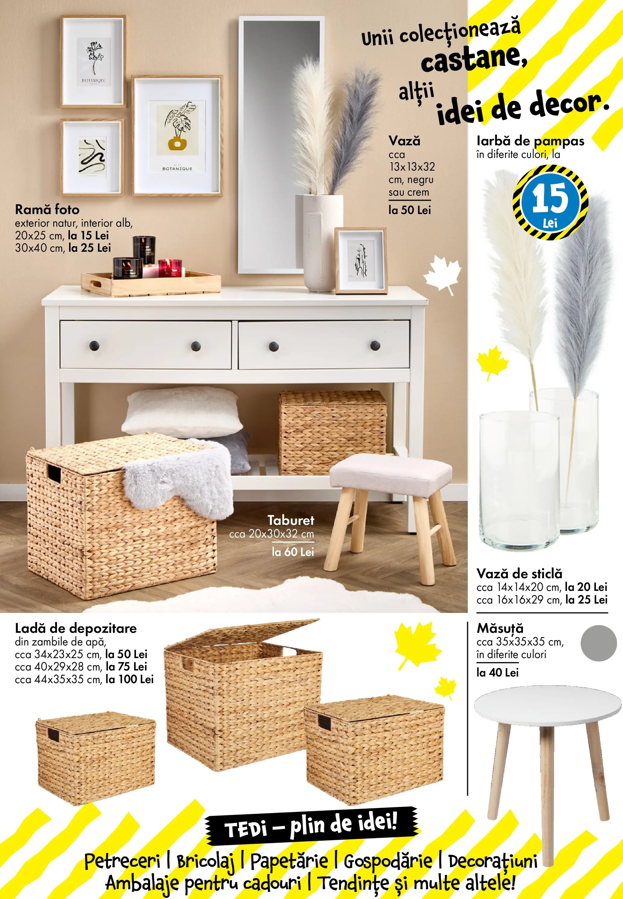 Catalog TEDi