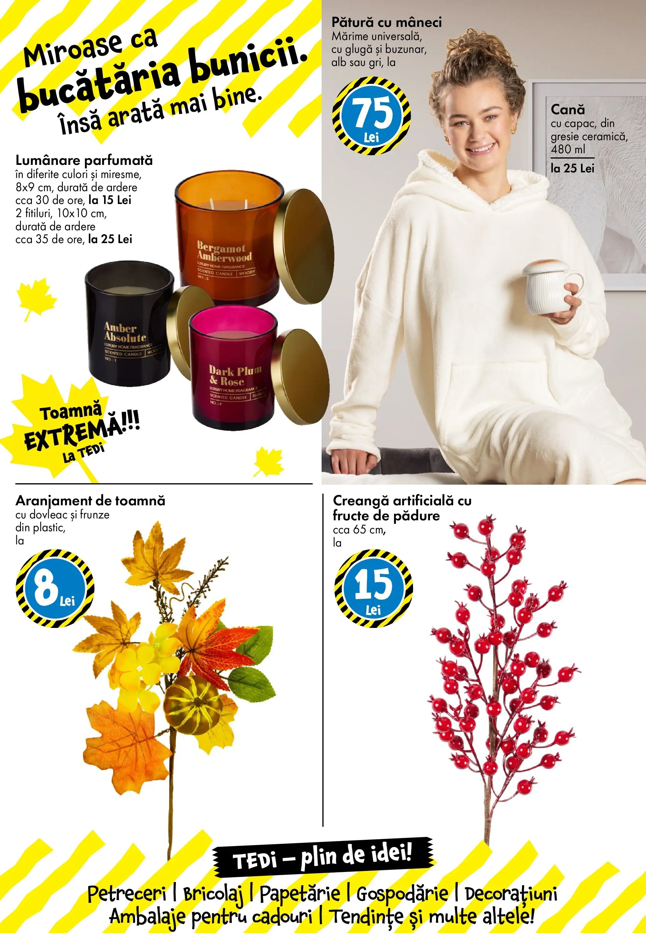 Catalog TEDi