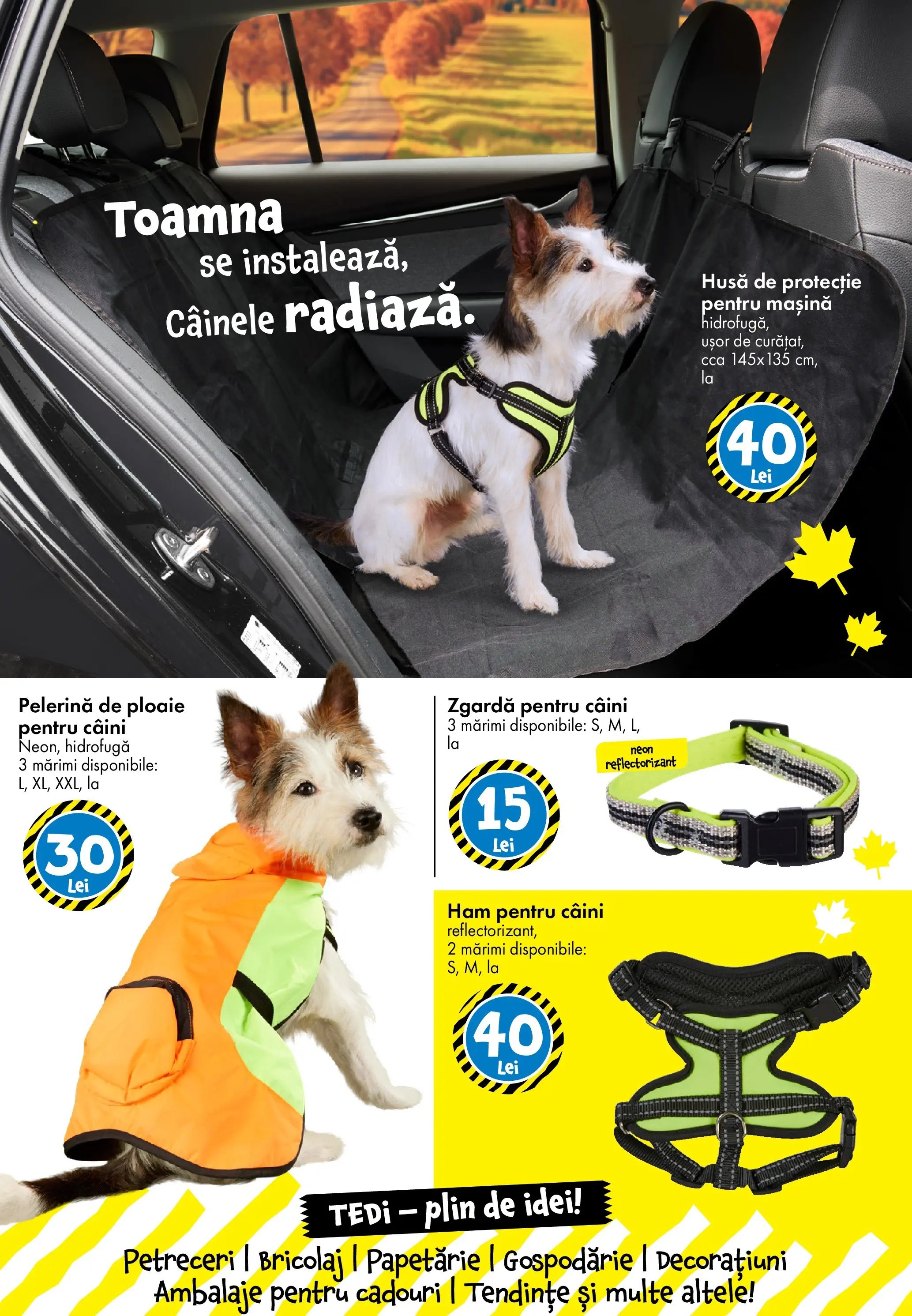 Catalog TEDi