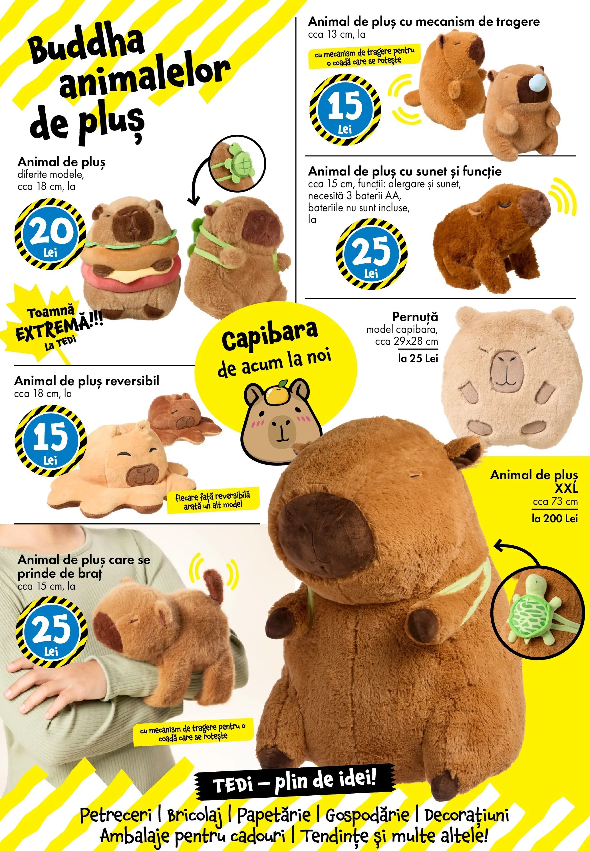 Catalog TEDi