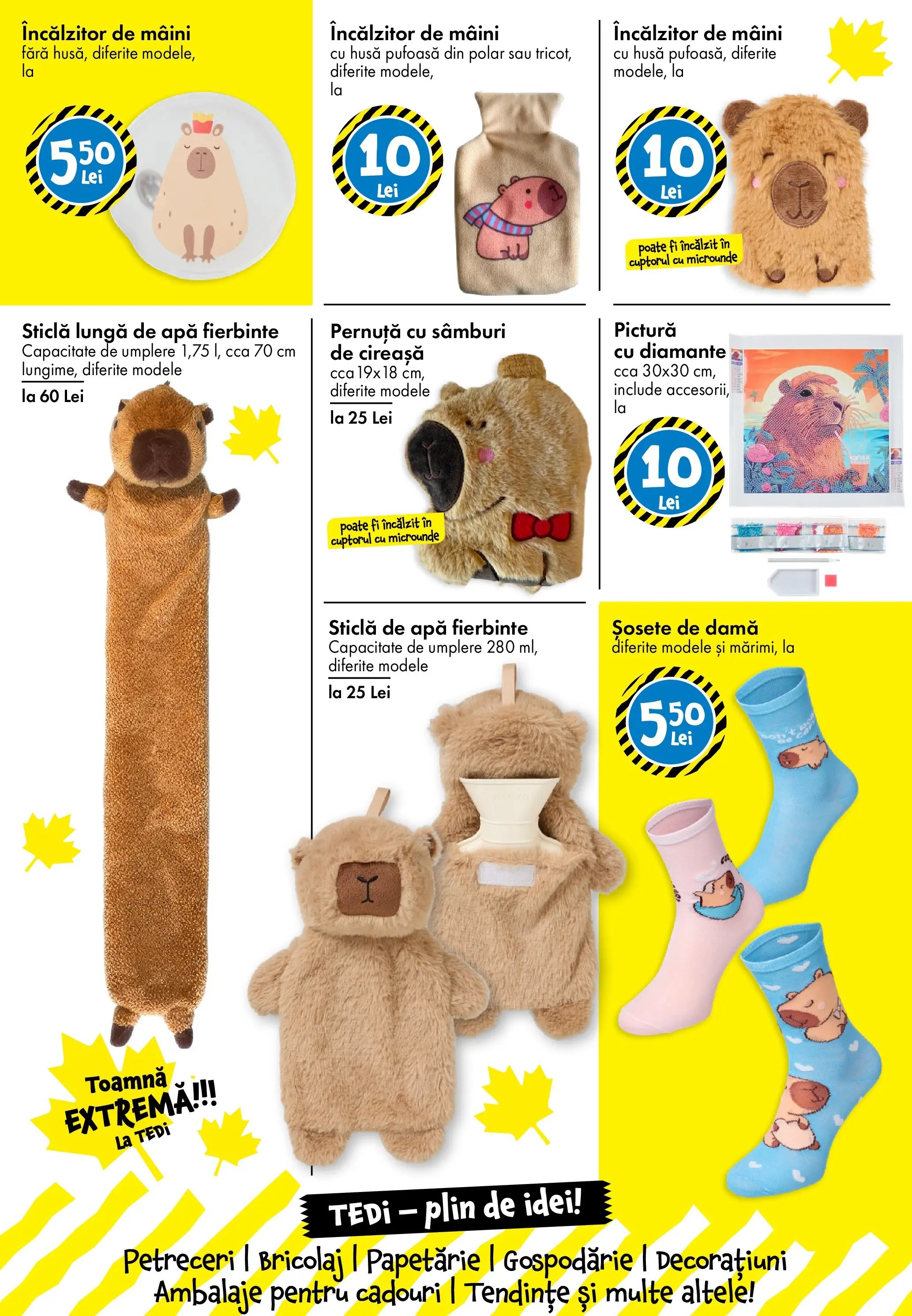 Catalog TEDi