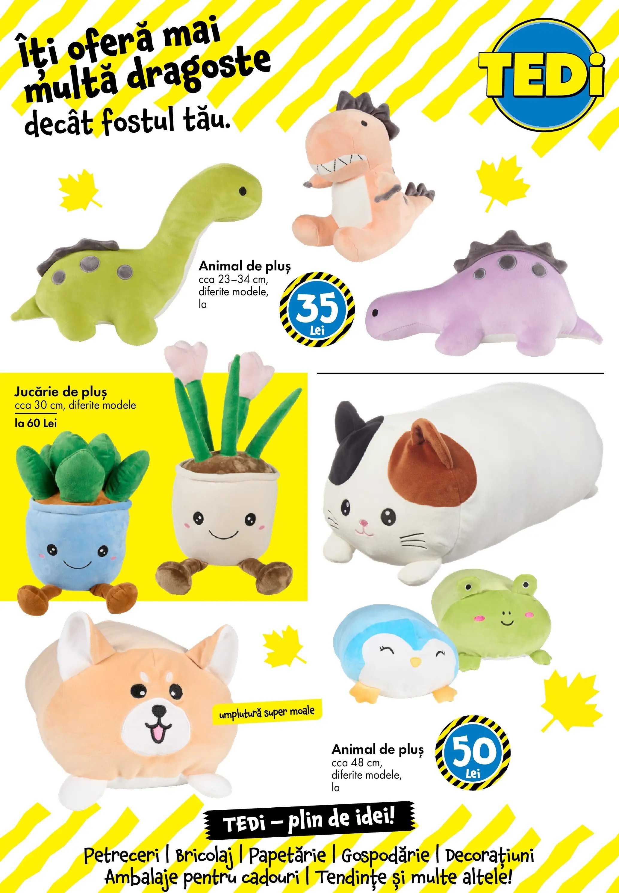 Catalog TEDi
