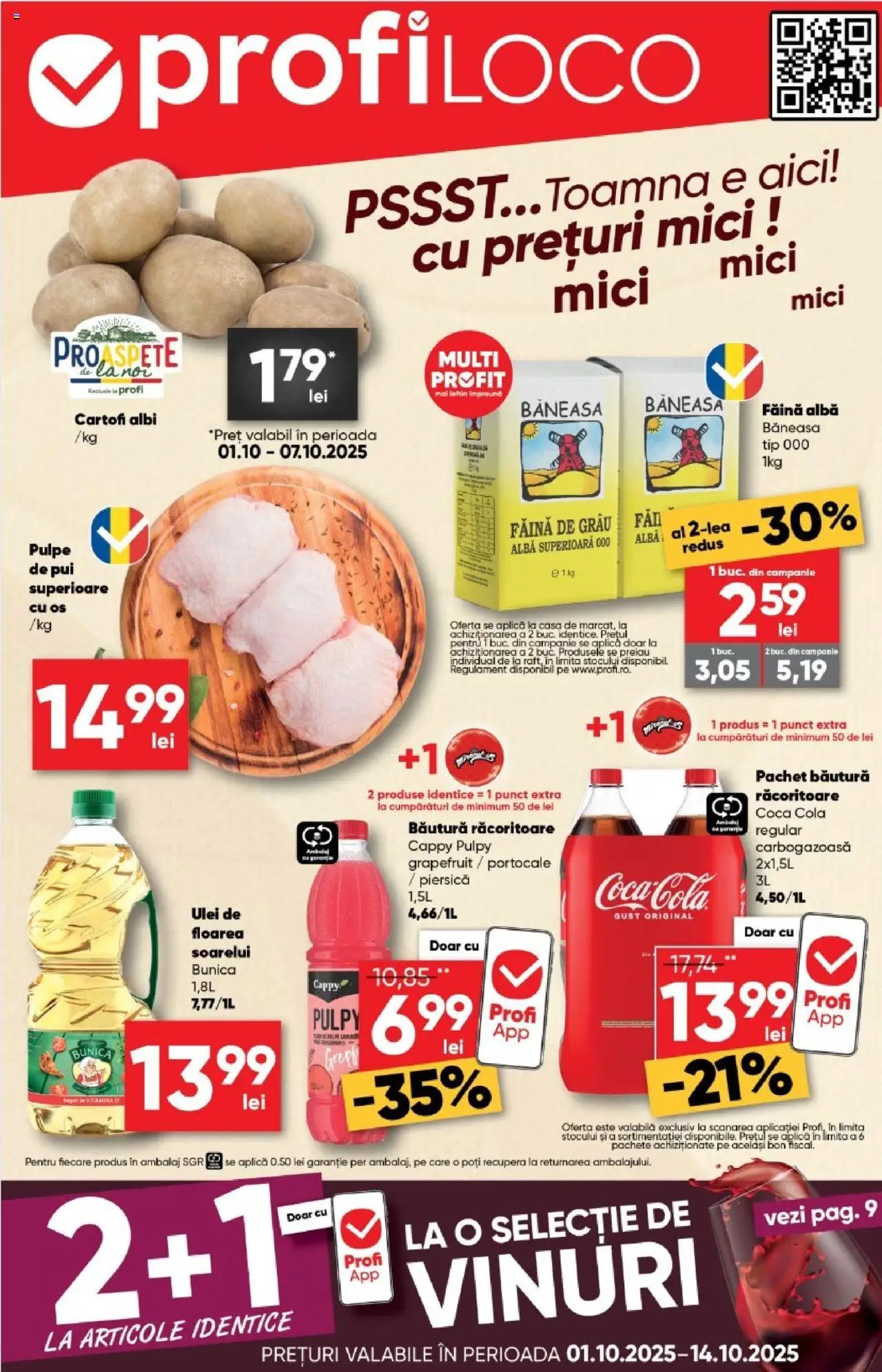 Catalog Profi Loco