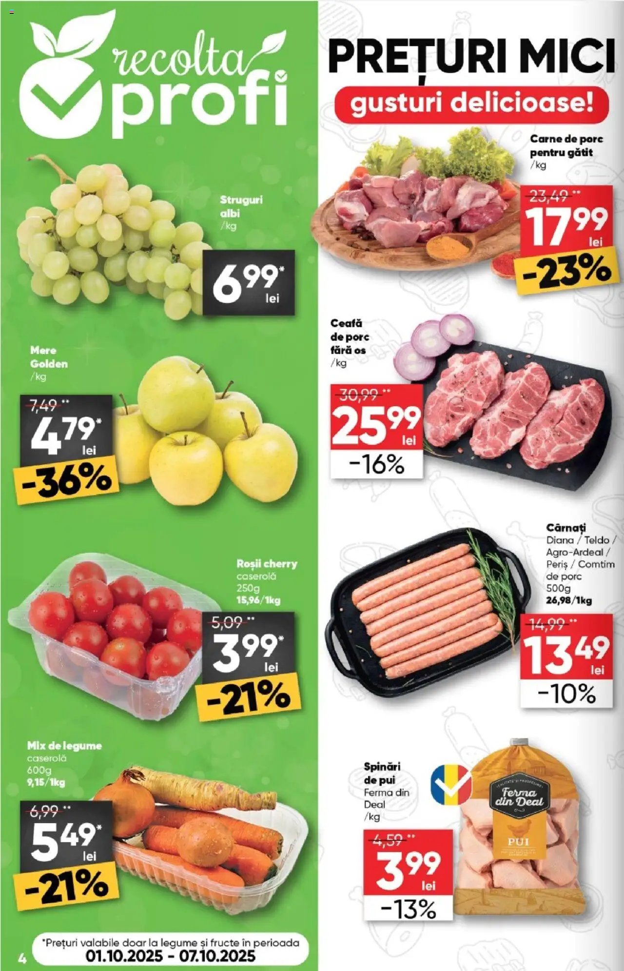 Catalog Profi Loco