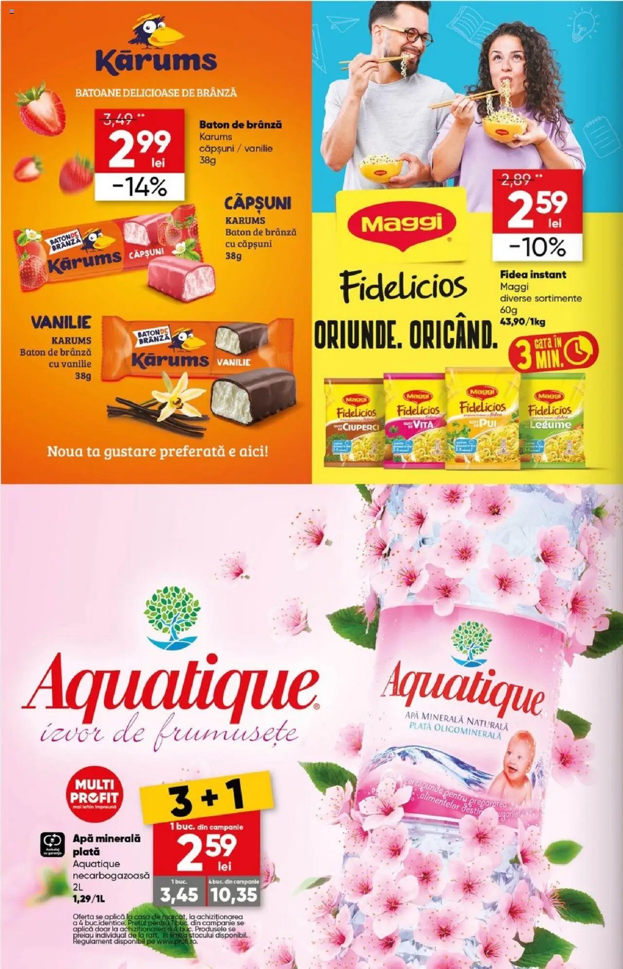 Catalog Profi 