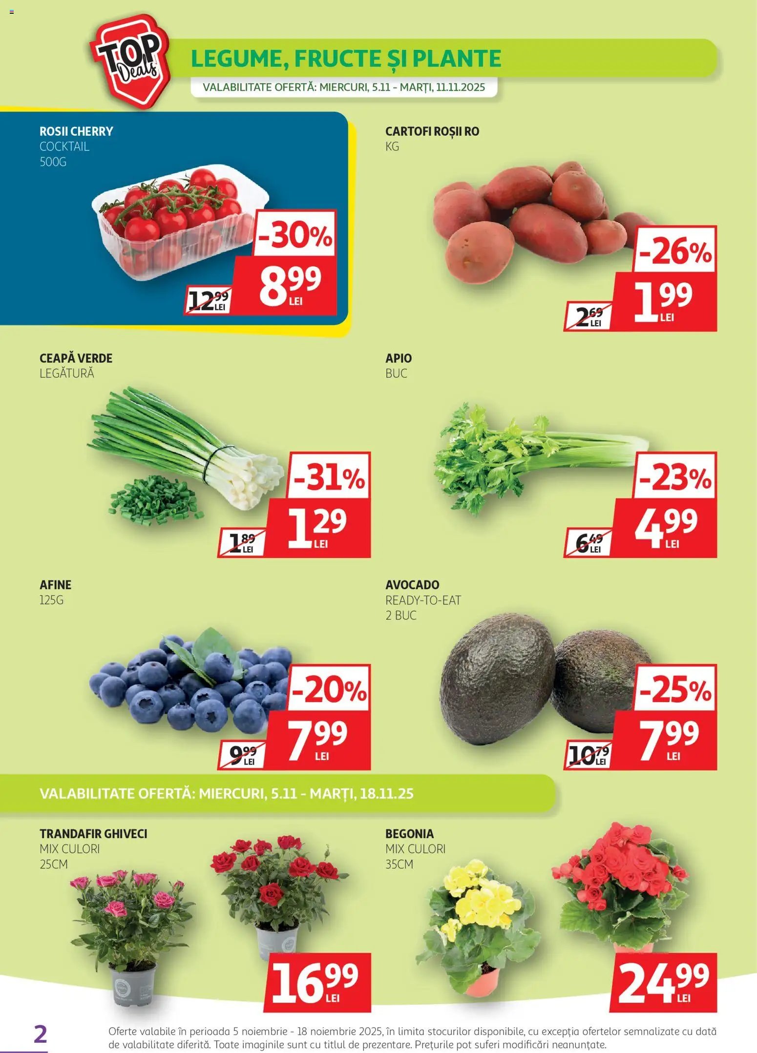 Catalog Auchan