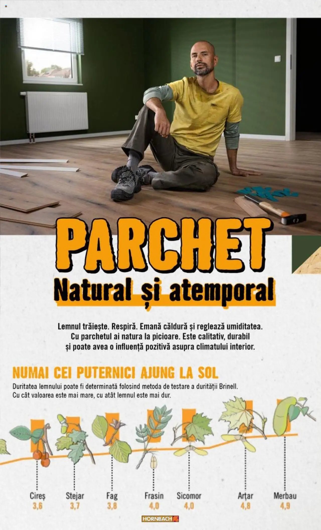 Hornbach catalog - Pardoseală