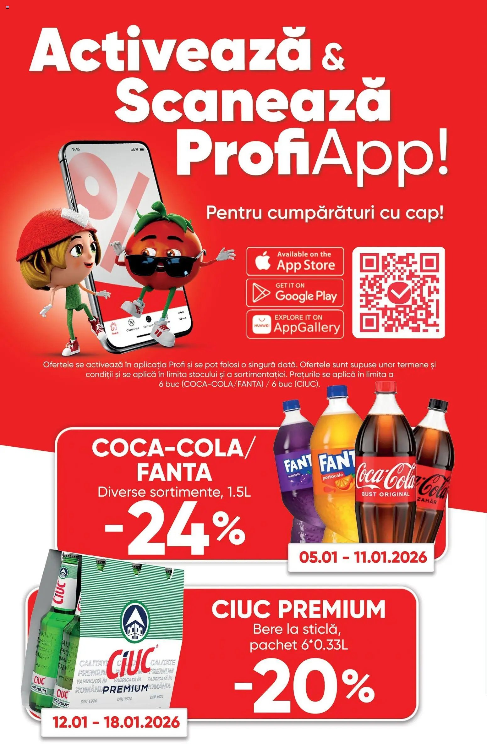 Catalog Profi Go