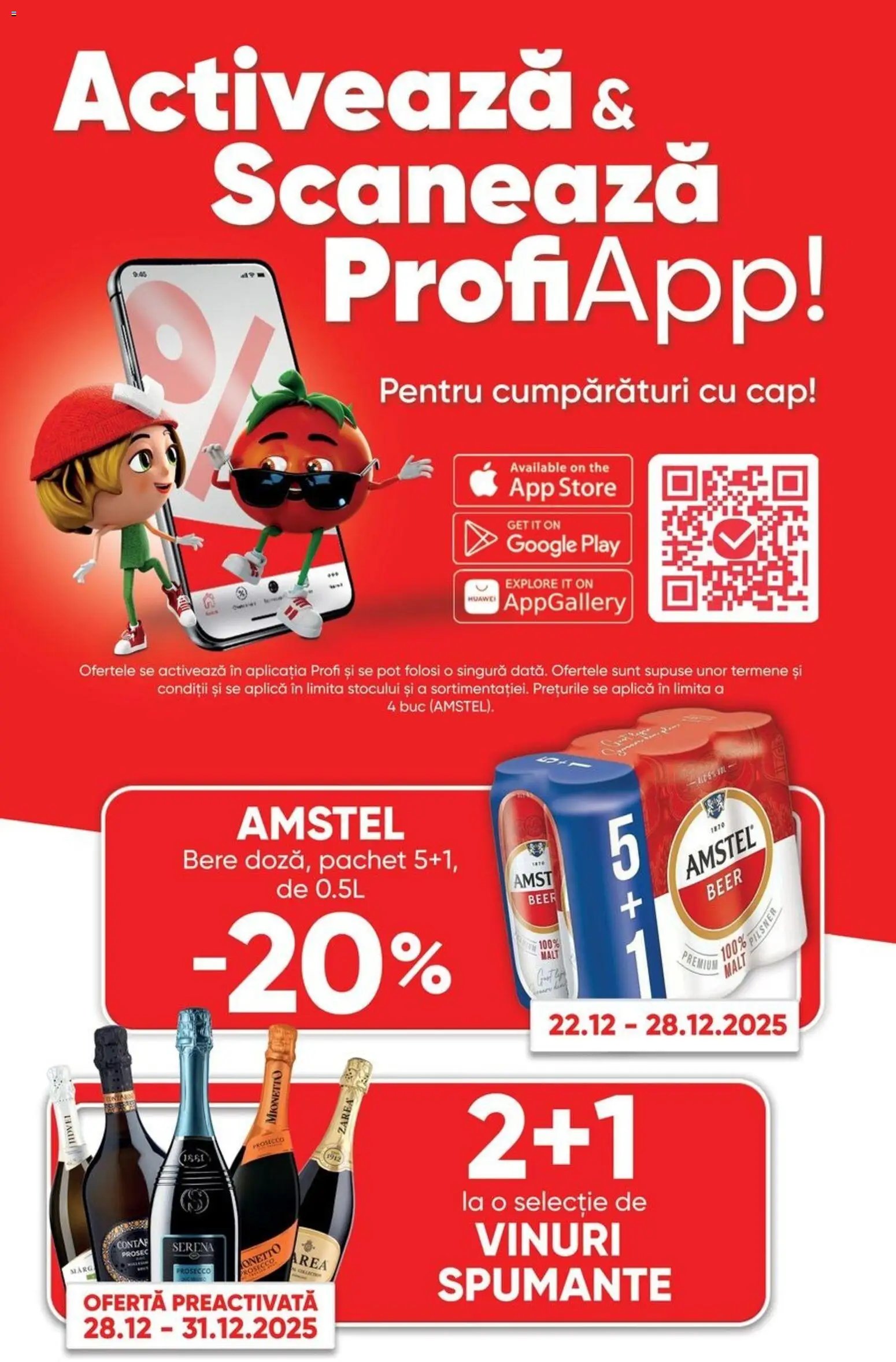 Catalog Profi City