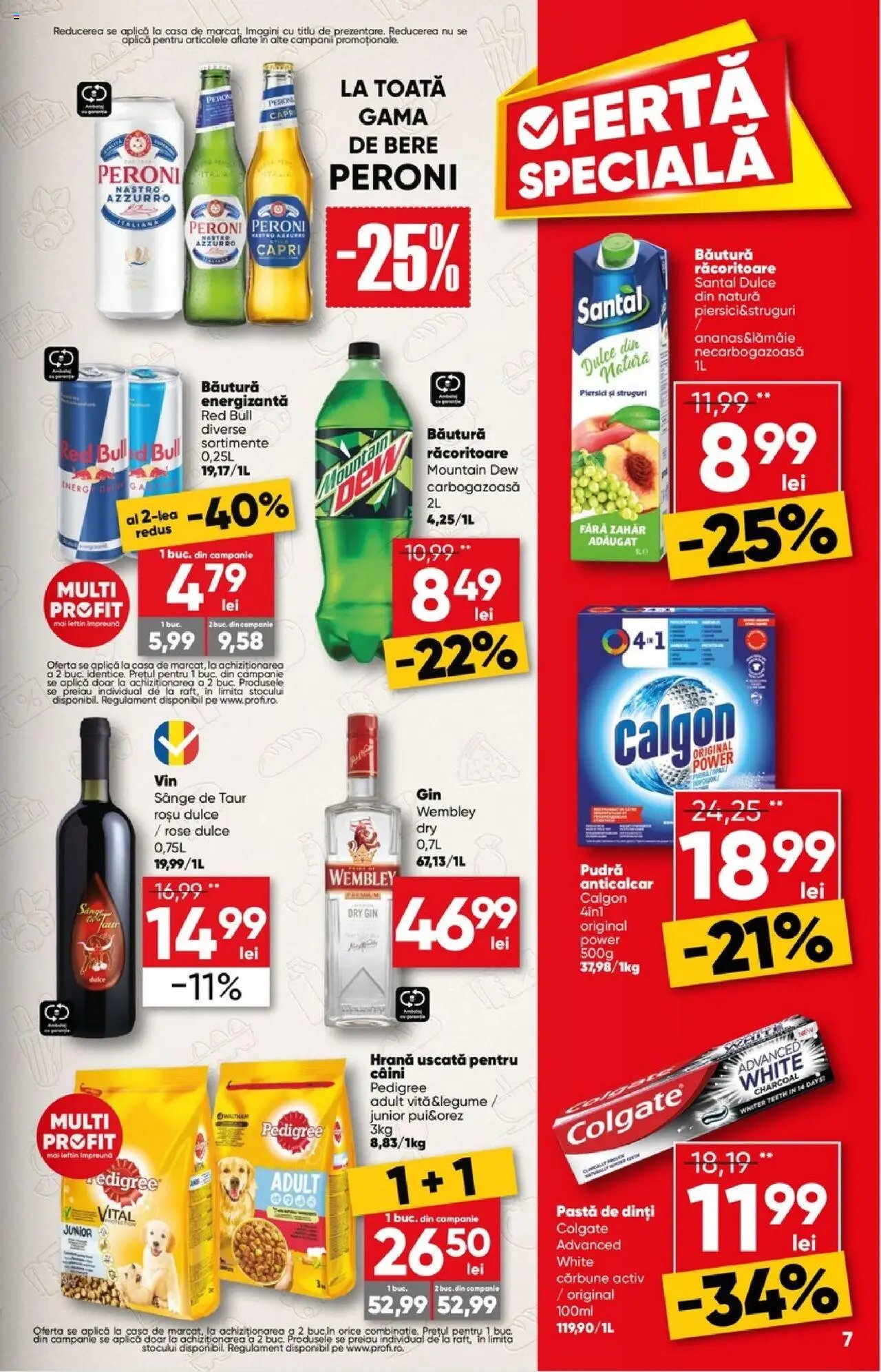 Catalog Profi City
