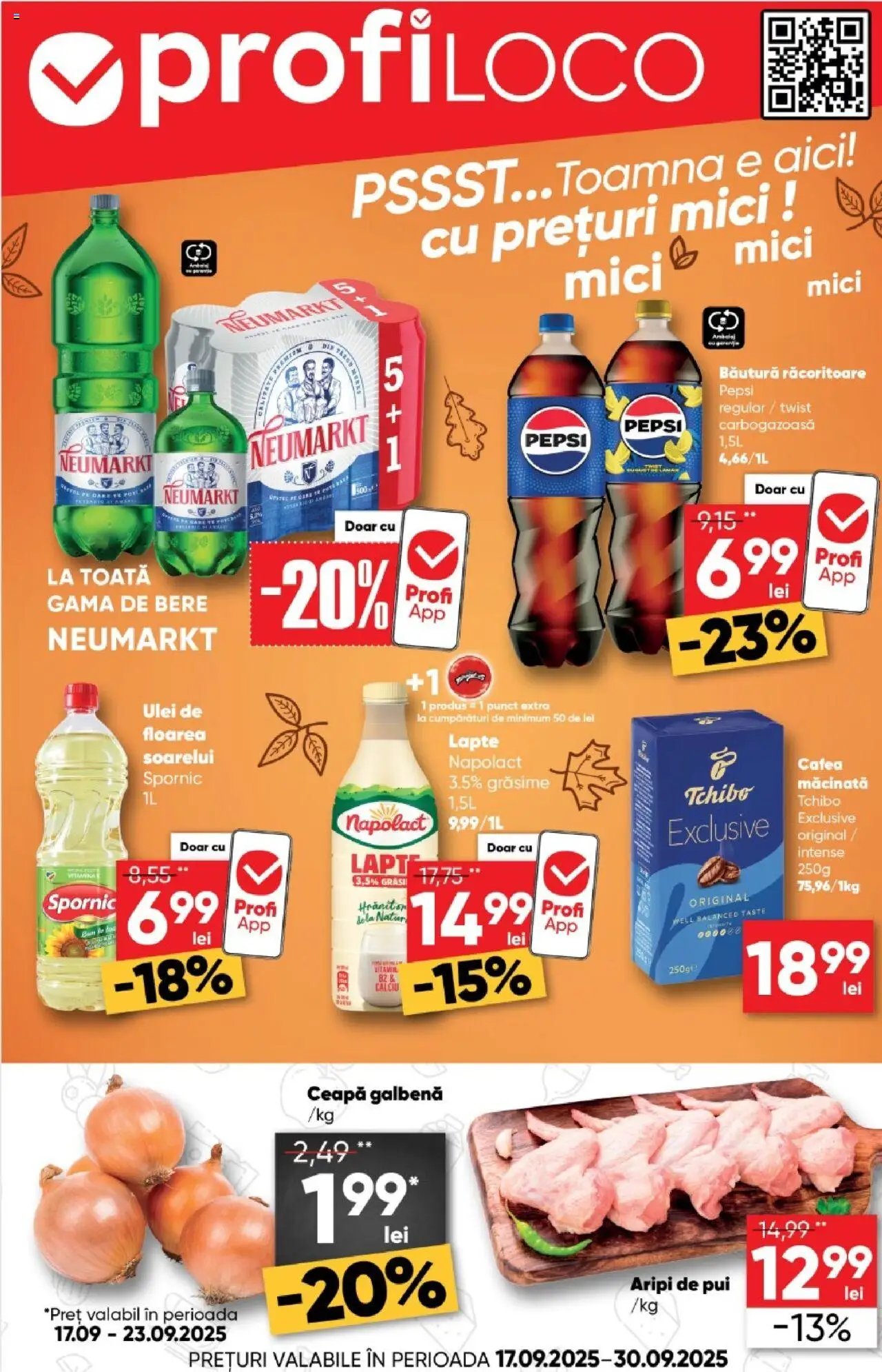 Catalog Profi Loco