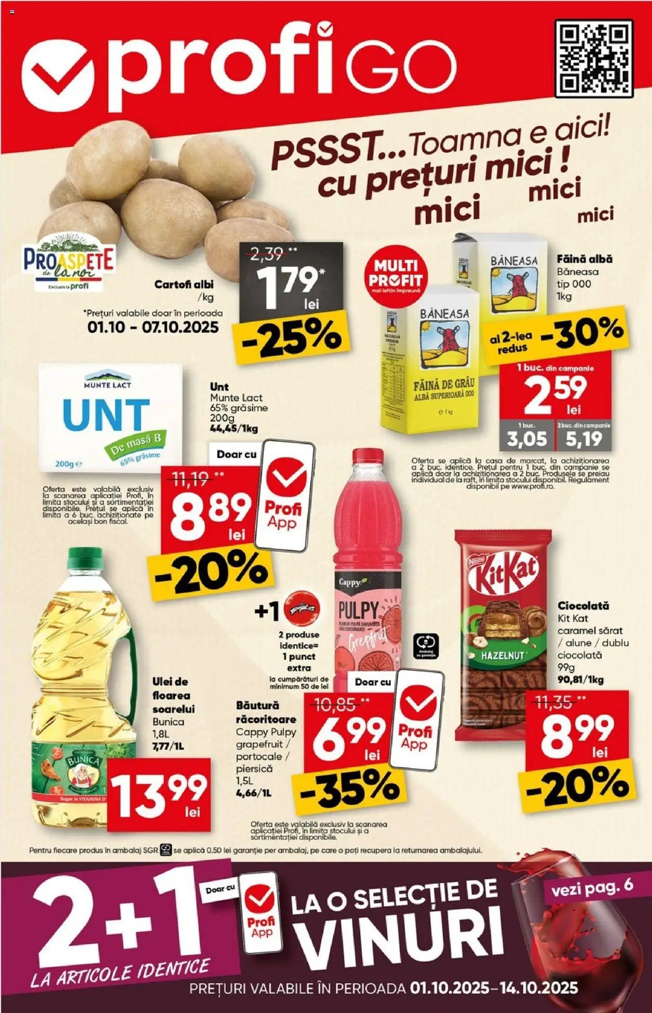 Catalog Profi Go
