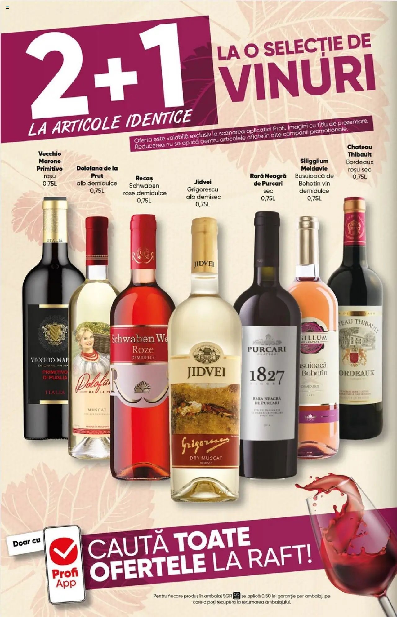 Catalog Profi Go